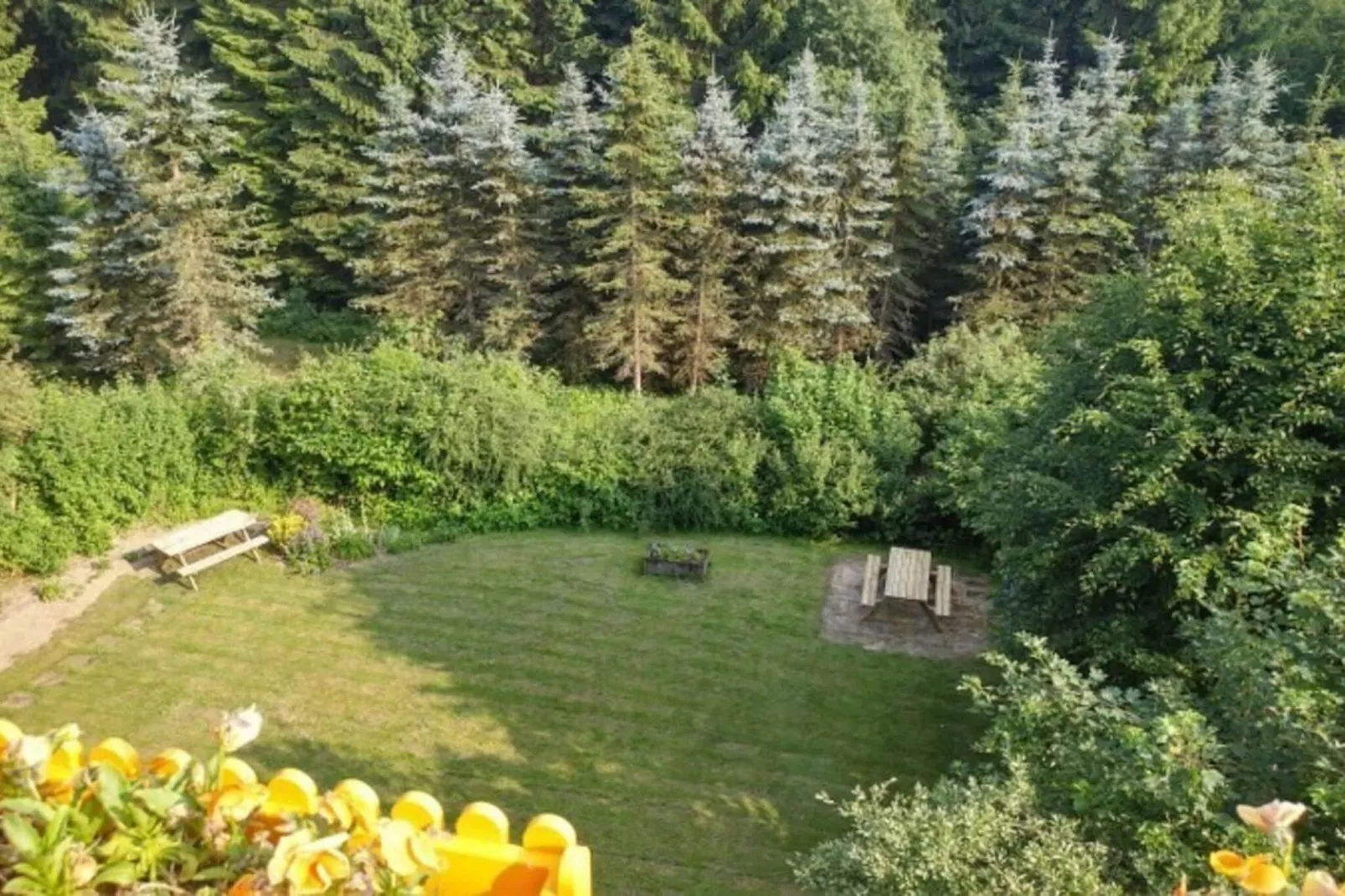 Apartment Rothaarsteig-Gardens summer