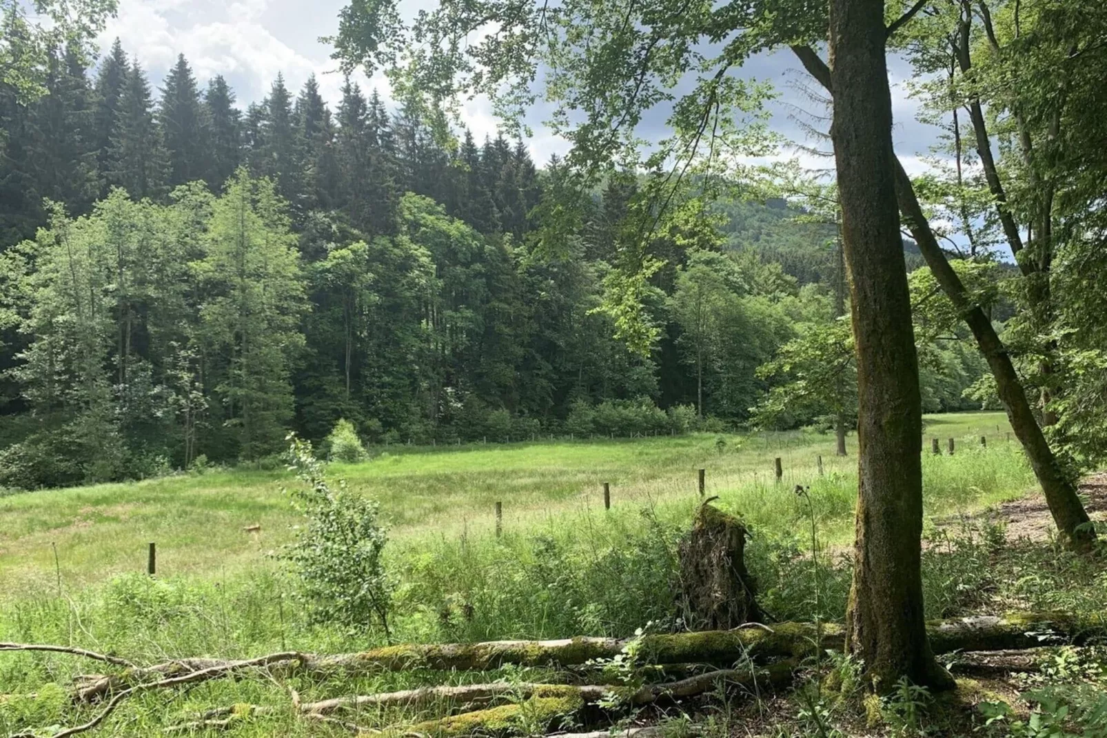Apartment Rothaarsteig-Areas summer 1km