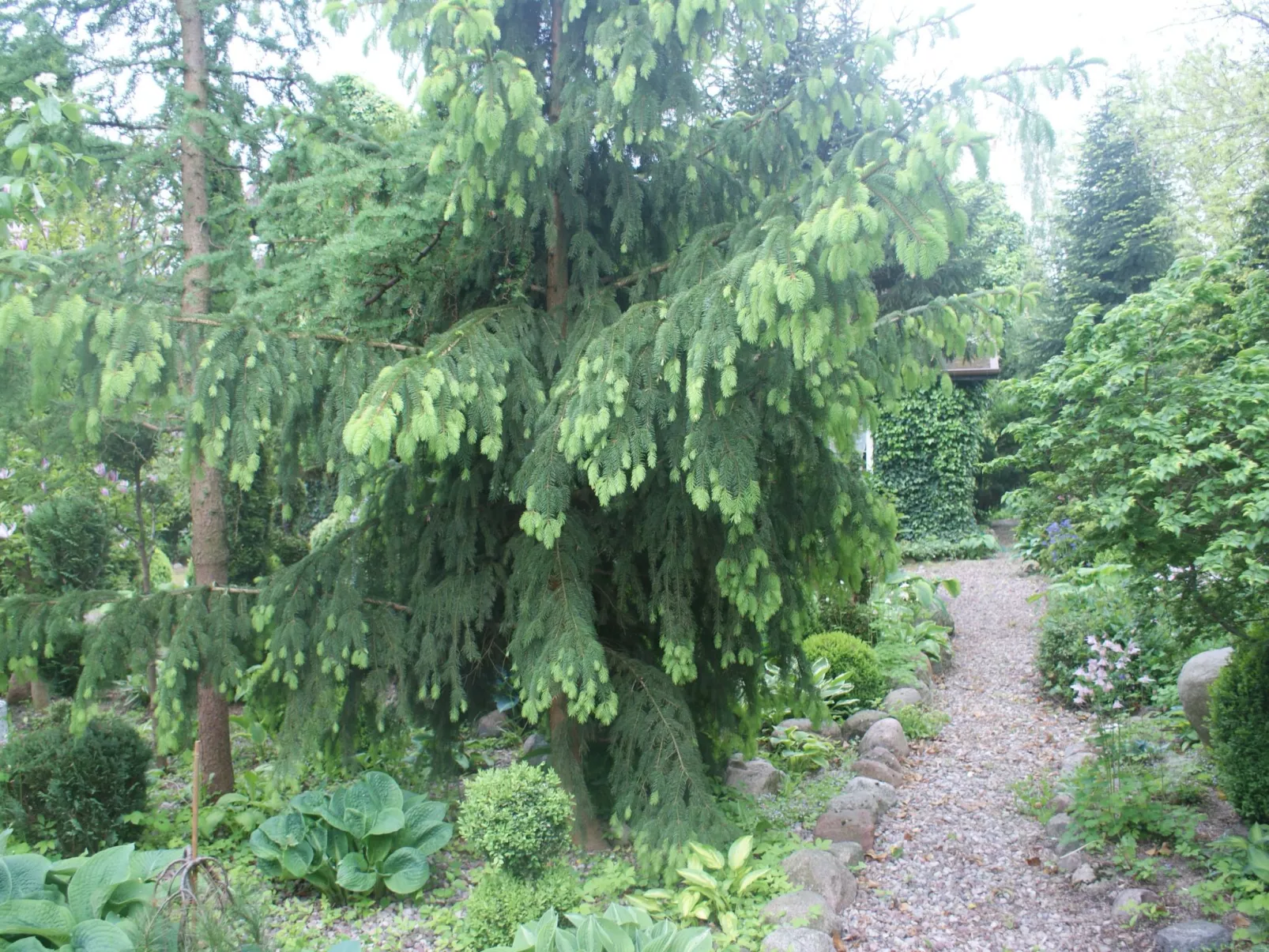 Meeresdorf Stille - Ferienhäuser in den Gärten von Magra-Image-tags.info