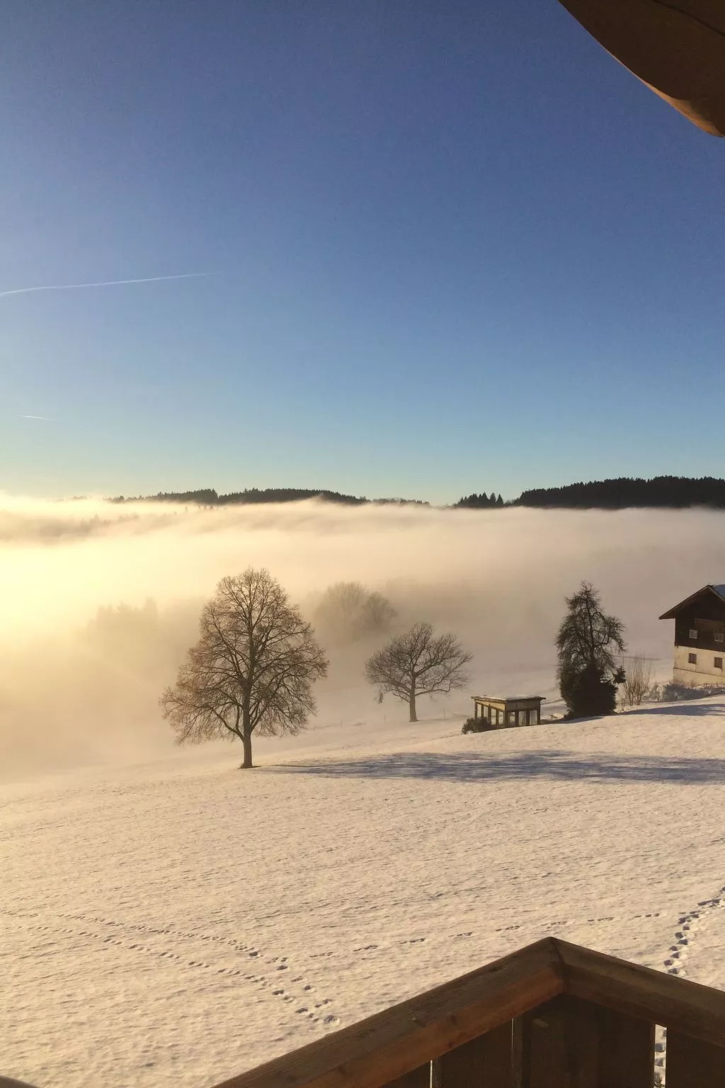 Im Bayerischen Wald inkl. aktivCard-Outside