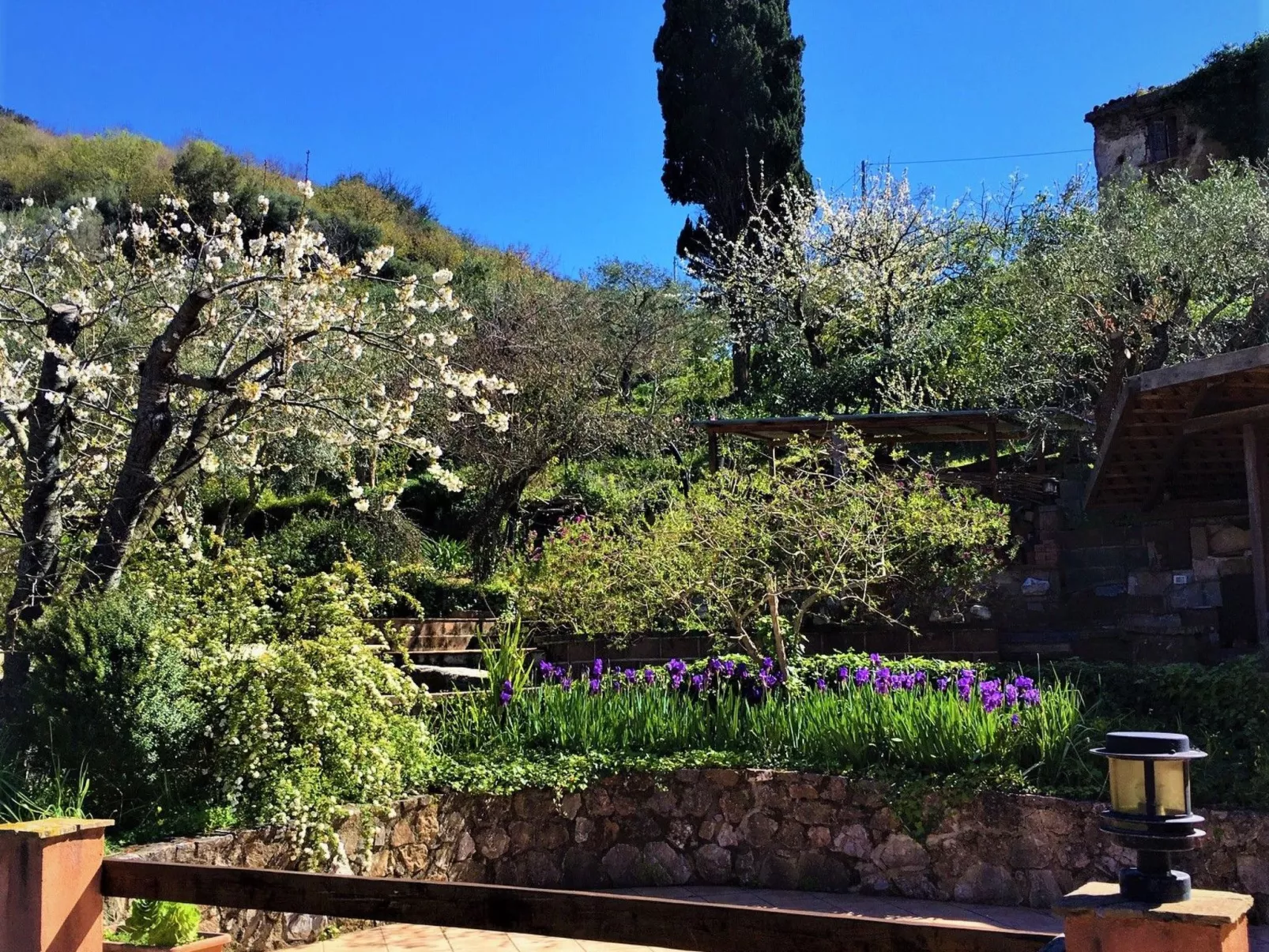 Granatapfel-Wohnung-Draußen