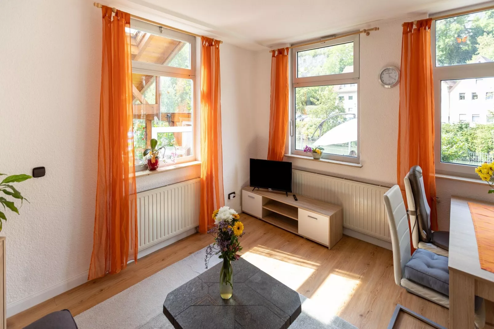 Am Neckar-Living room