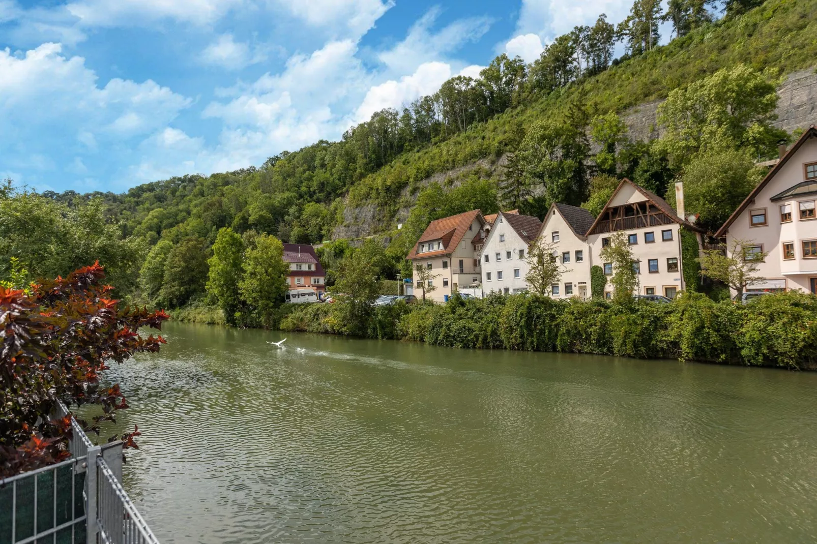 Am Neckar-Areas summer 1km