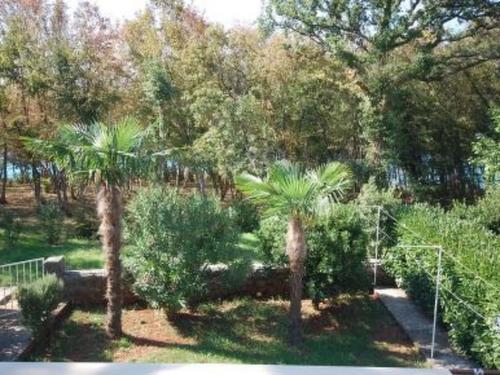 Wohnung "Villa Karmen" direkt am Strand-Draußen