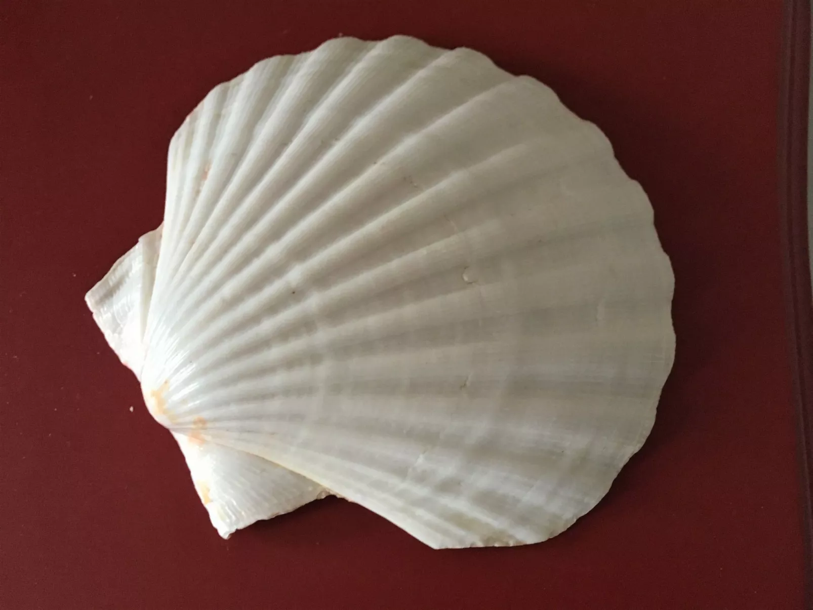 Fischerhus LüttHauke-Drinnen