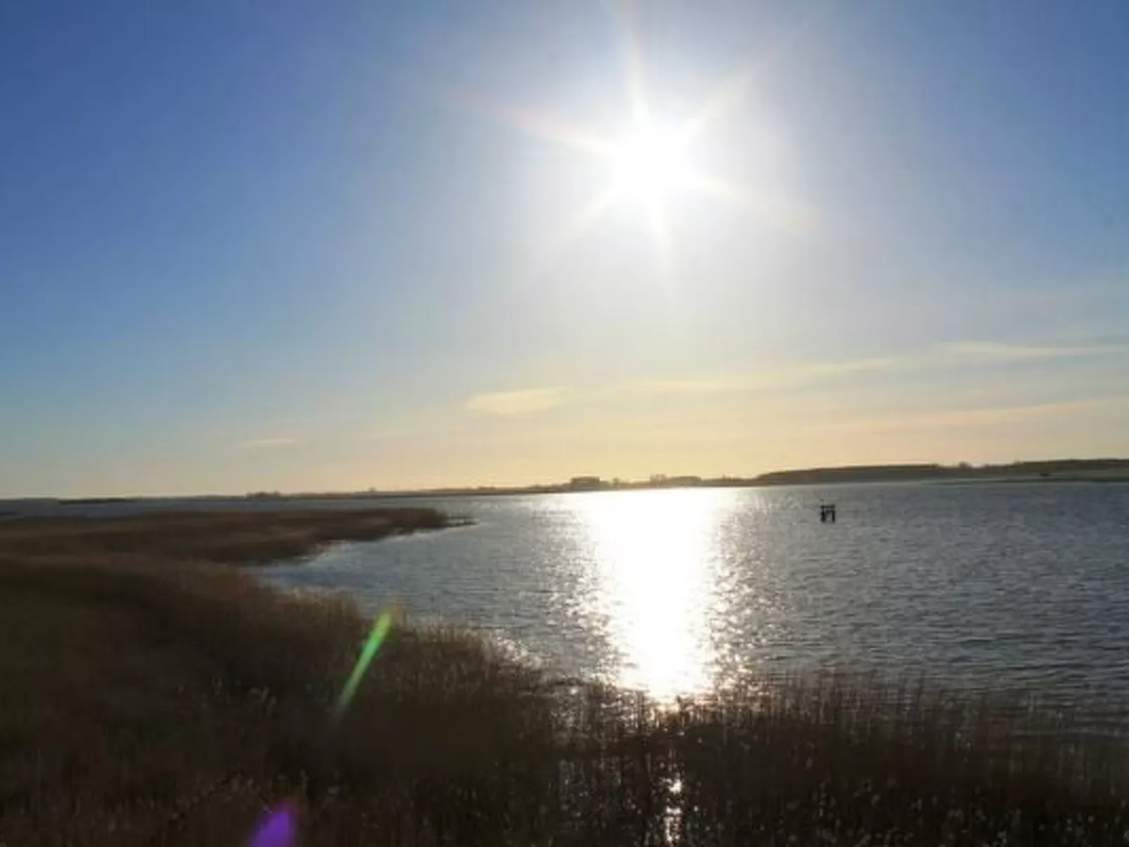 Fischer‘s 5 Sterne Ferienhaus Rügen-Dehors