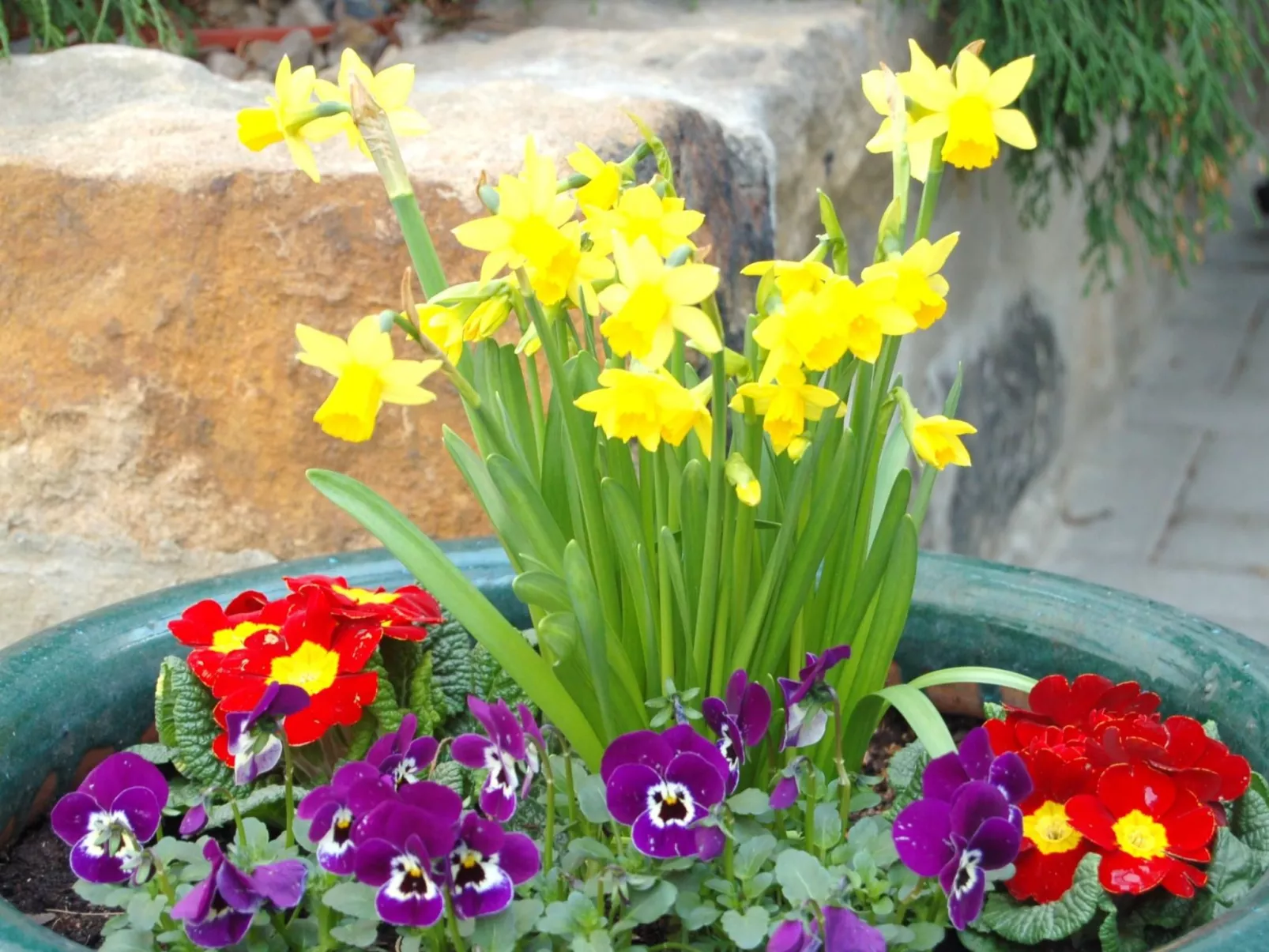 2-Raum-Ferienwohnung-Outside