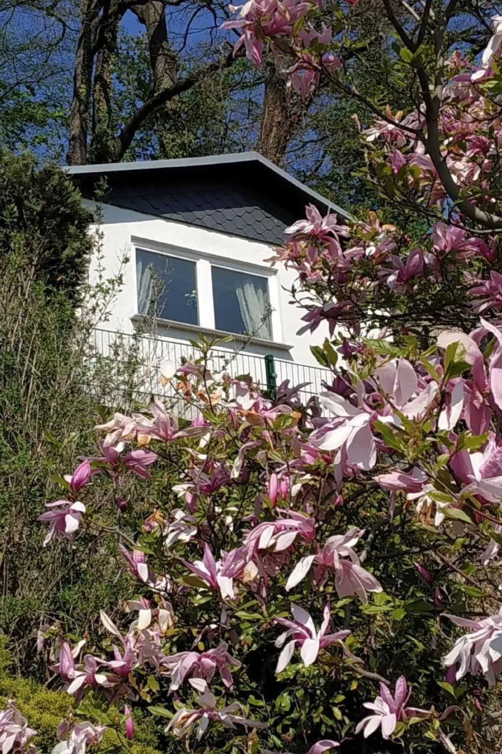 In Pirna mit Schöner Terrasse-Dehors
