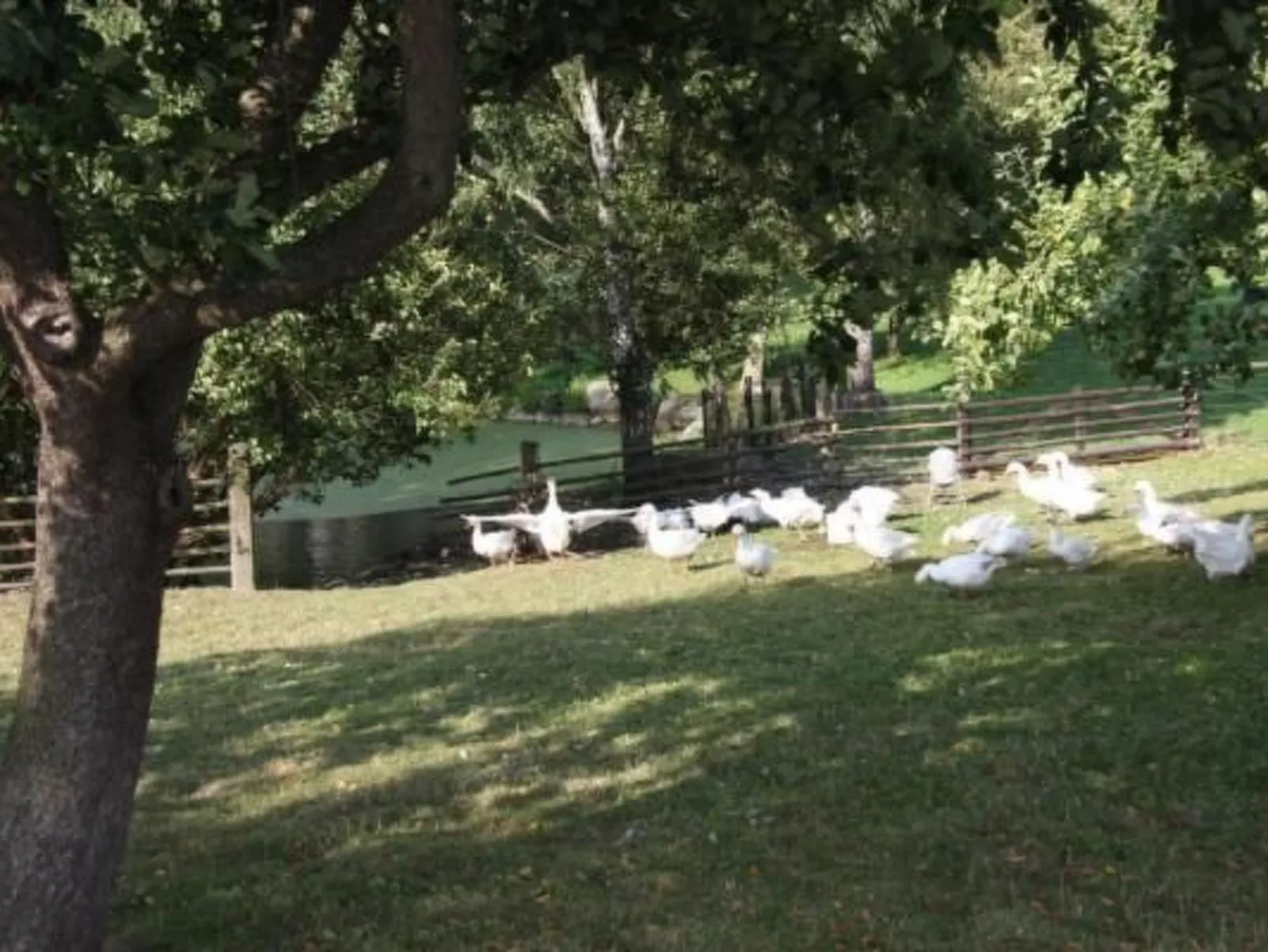 In Groß Schwansee mit Offenem Kamin-Dehors