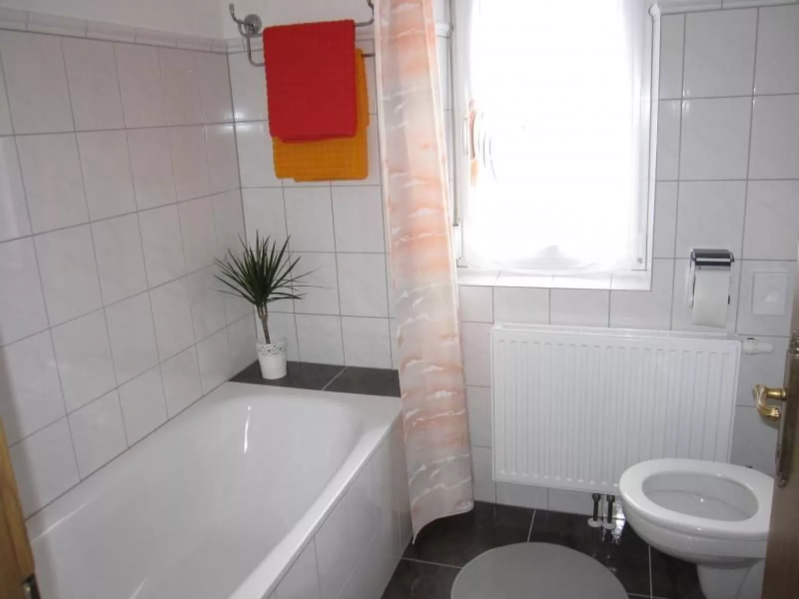 Rosa in Umhausen-Drinnen