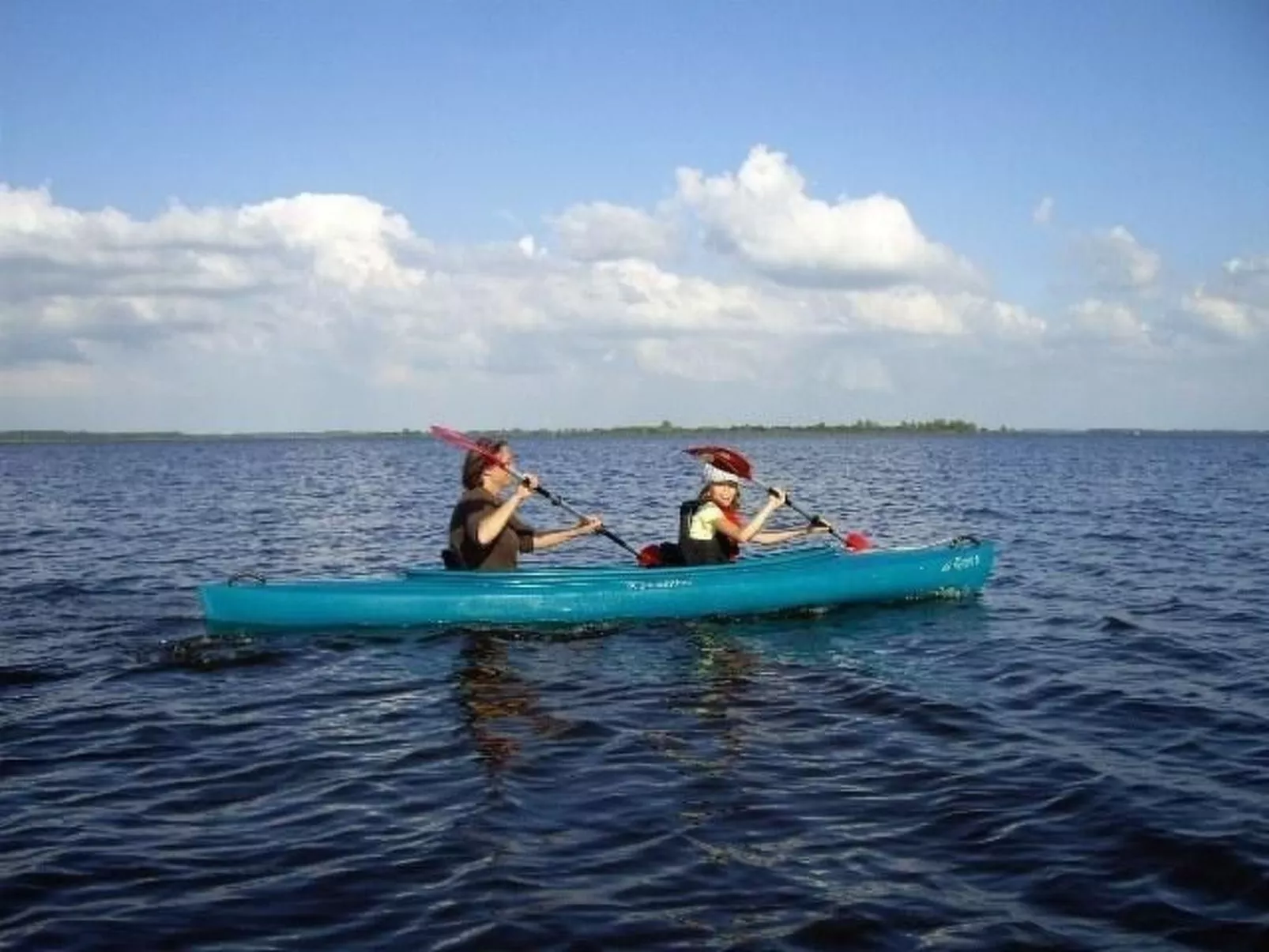 120 Dijkrose-Draußen