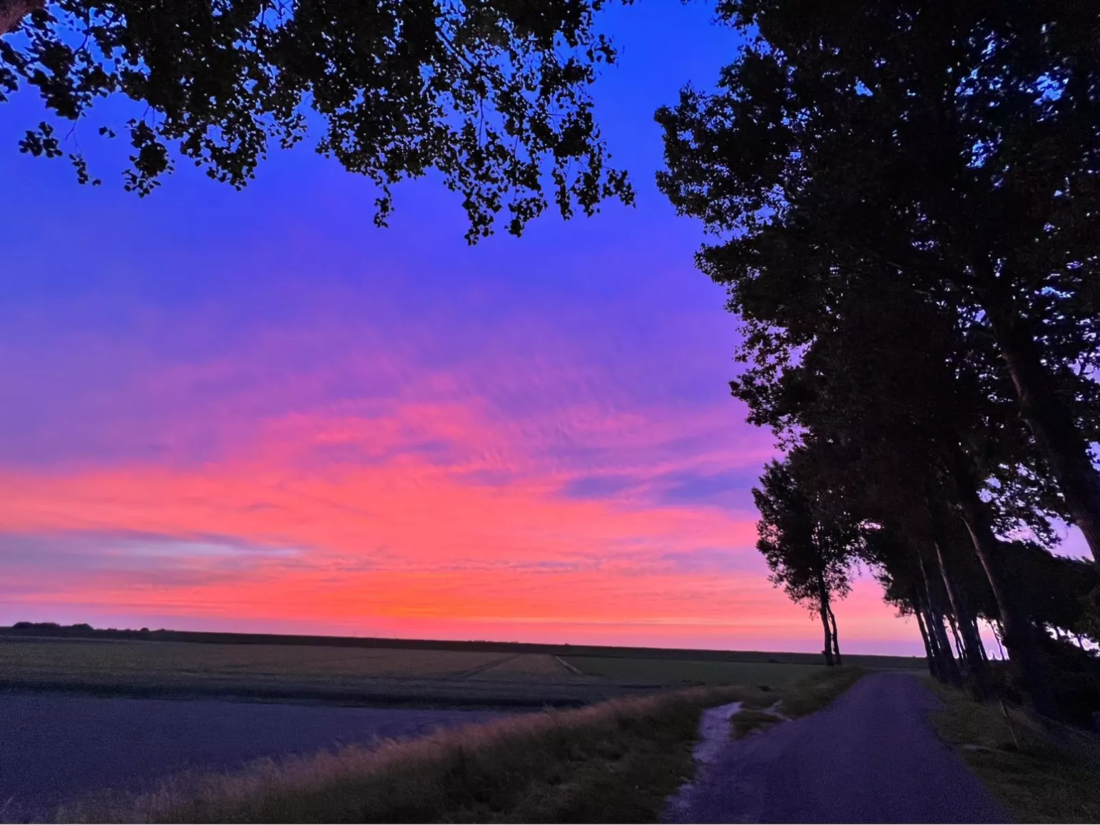 In Stavenisse mit gemütlicher Terrasse-Draußen