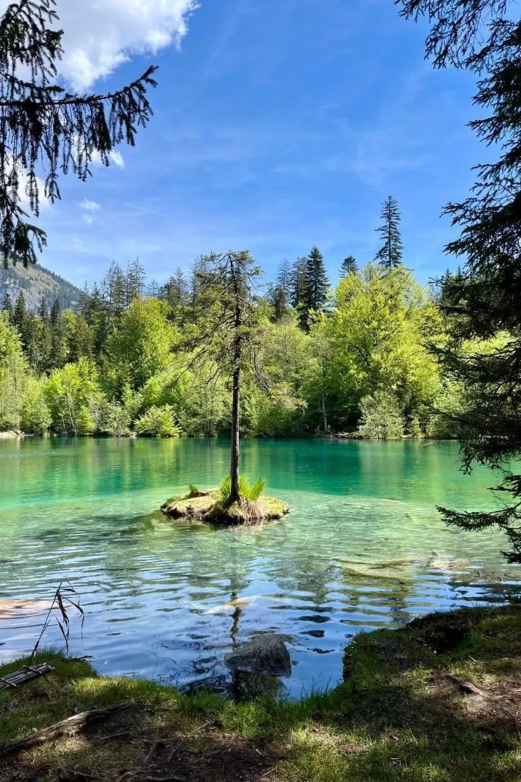 Flims Stenna SELVA direkt bei Bergbahnen Skipiste-Image-tags.info
