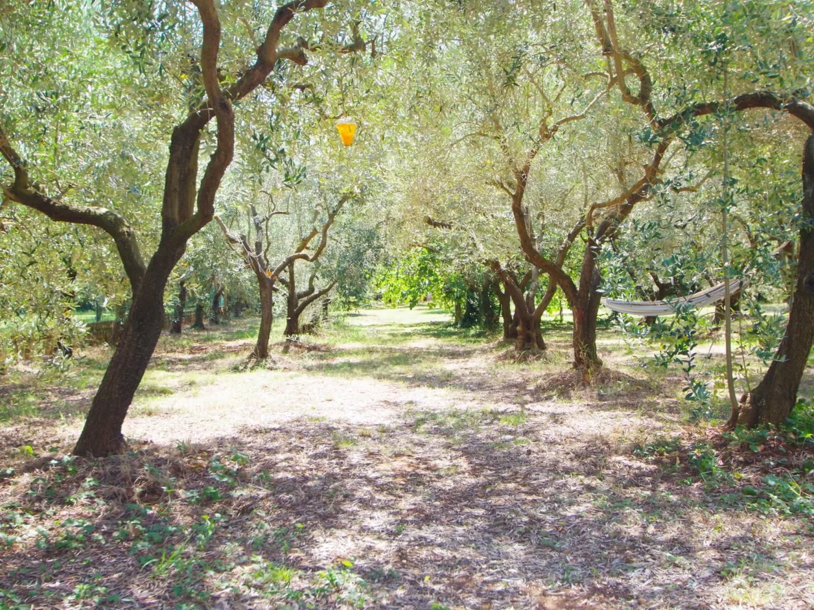 Am Meer "Zara"-Dehors