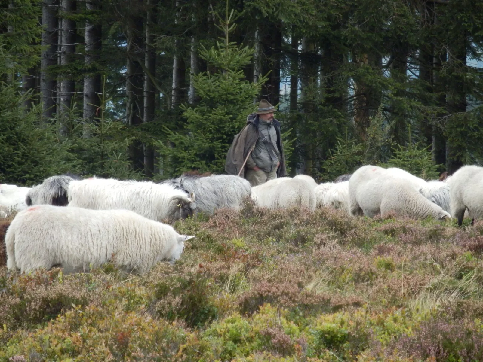 Mit privatem Balkon-Draußen