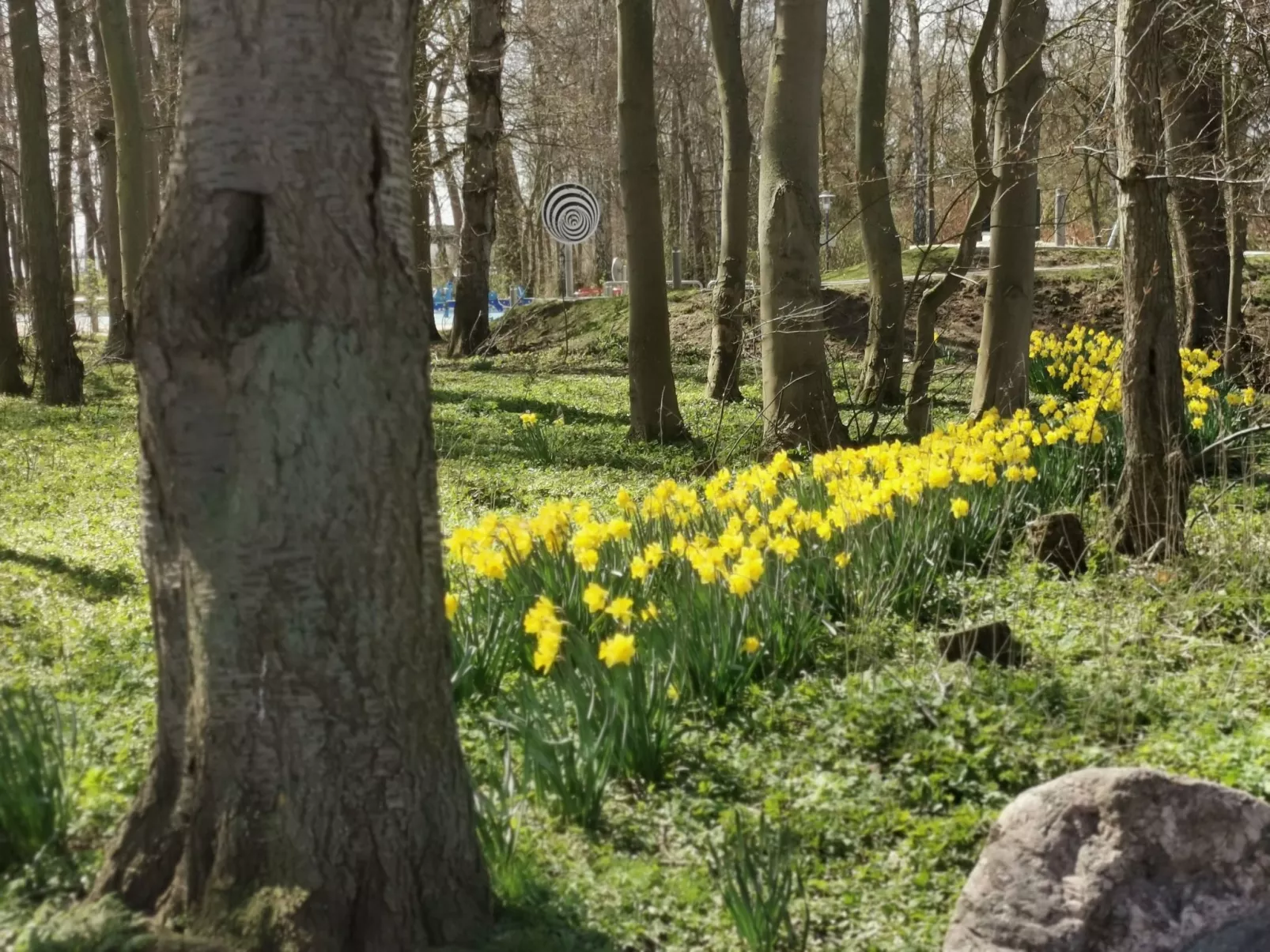Erdgeschosswohnung im Haus "Silva Mare"-Outside