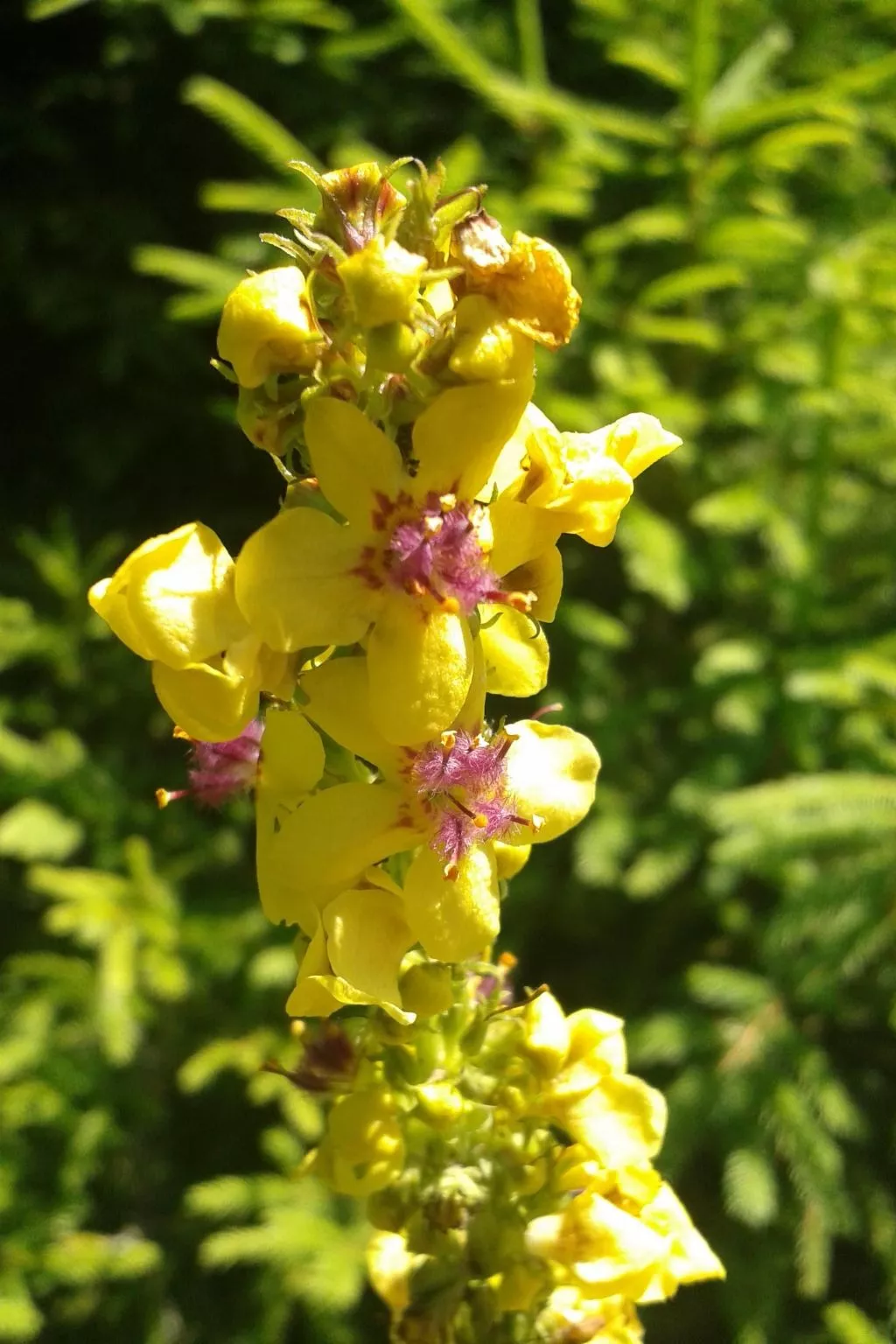 Freistehendes Ferienhaus in idyllischer Lage-Image-tags.info
