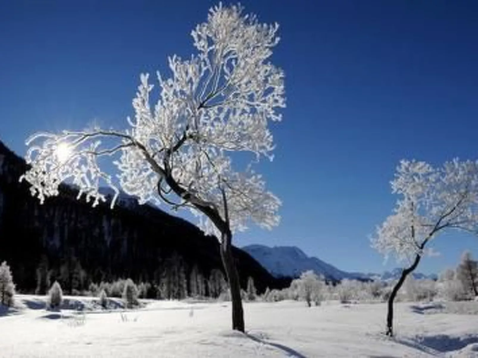 Chesa Arnica A5-Dehors