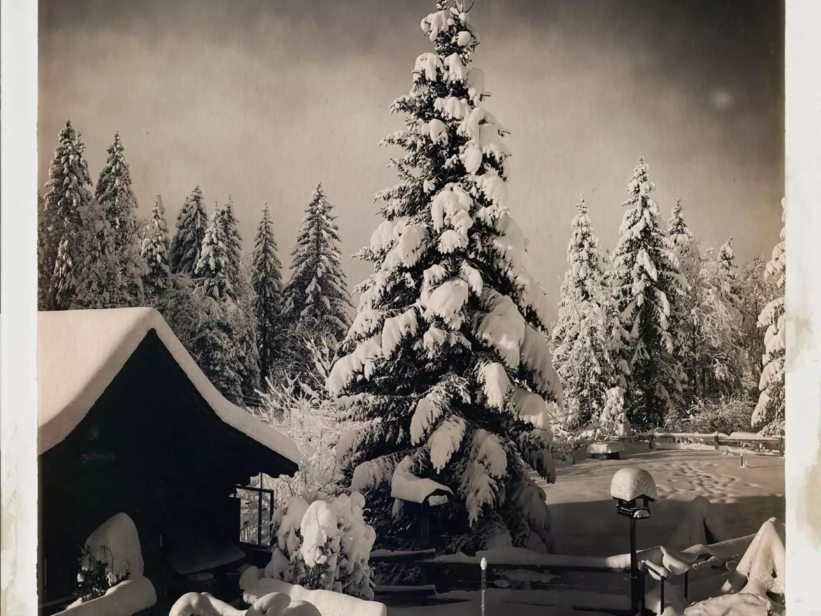 Chalet Rosita-Draußen