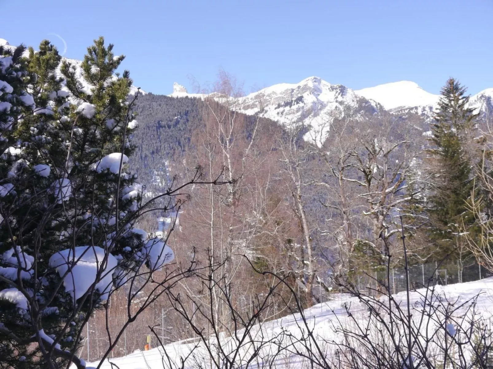 Chalet Birkli-Dehors