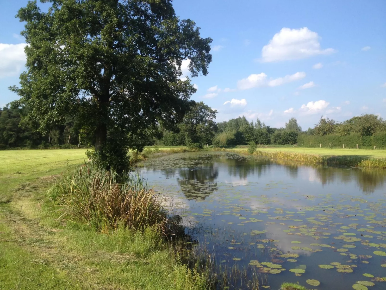 Fachwerkhaus "Das Reggestee" auf dem Bauernhof-Dehors
