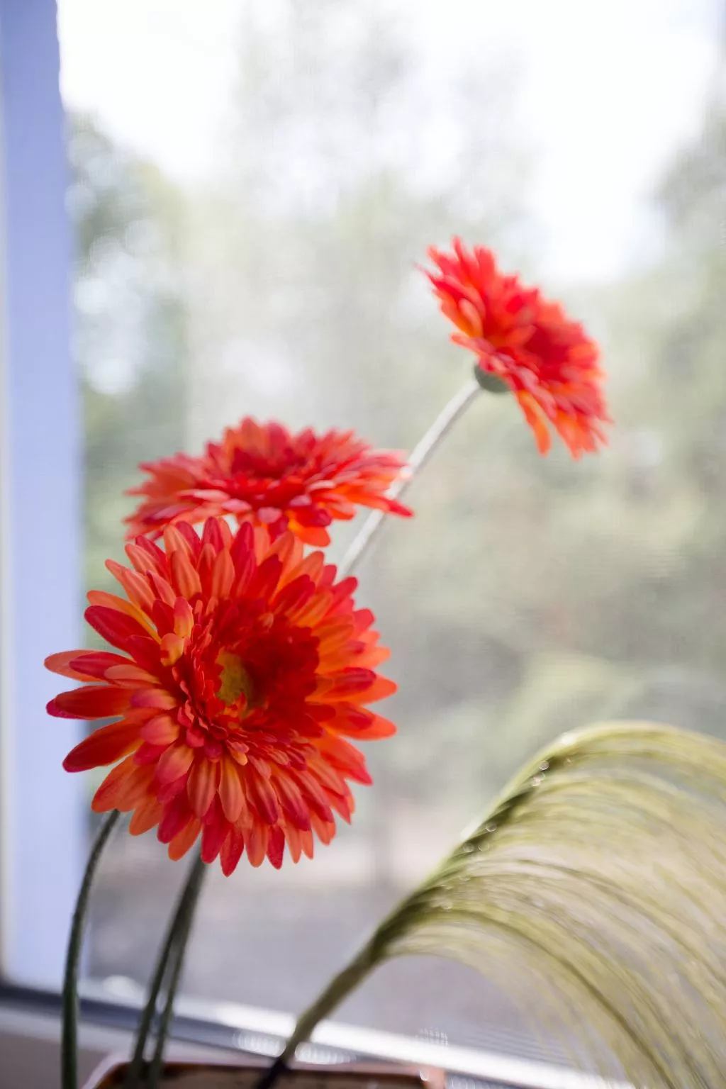  in Stadtrandlage mit guter Anbindung, sowie eigener Terrasse und Garten-Inside