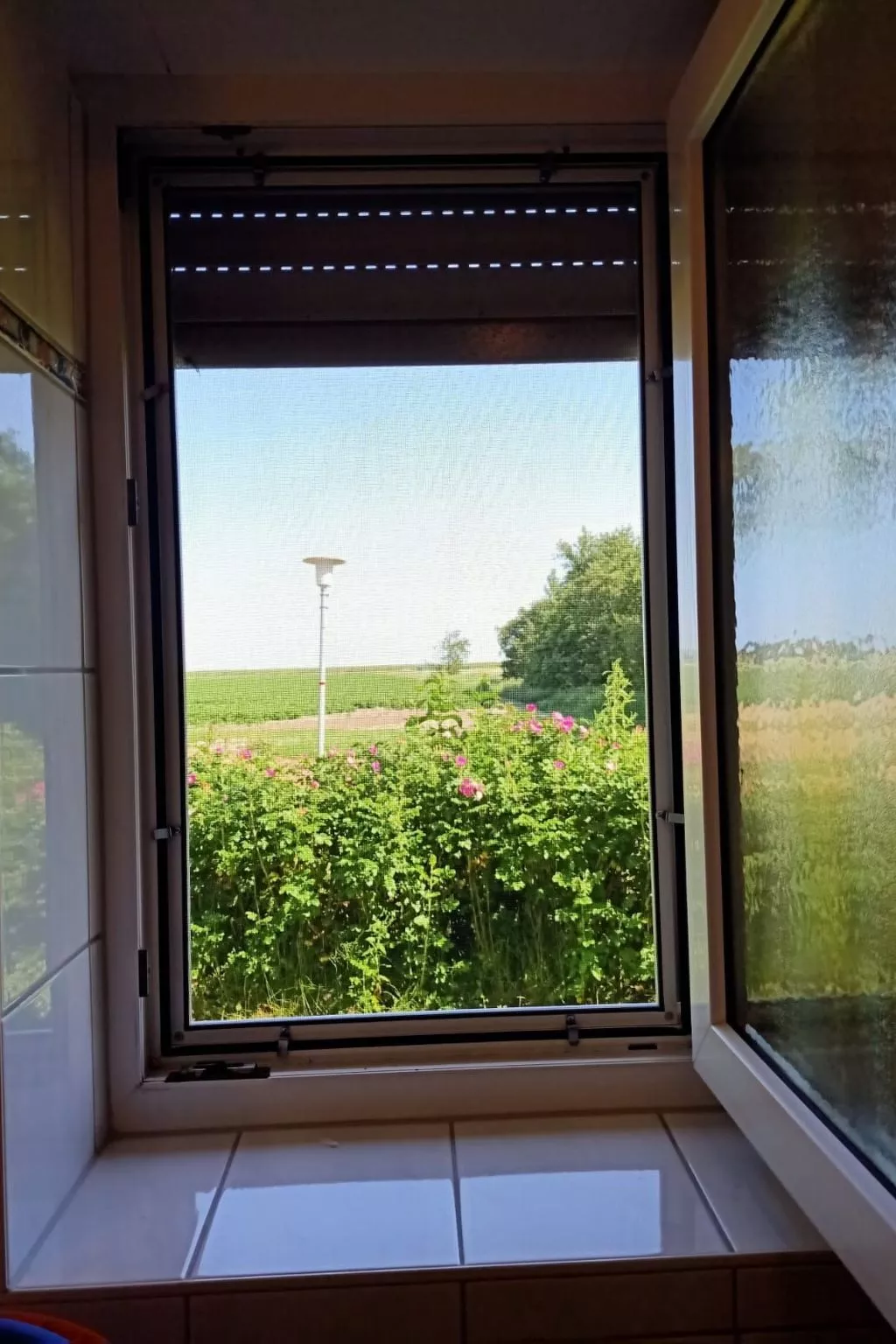  Buddecke-Image-tags.info