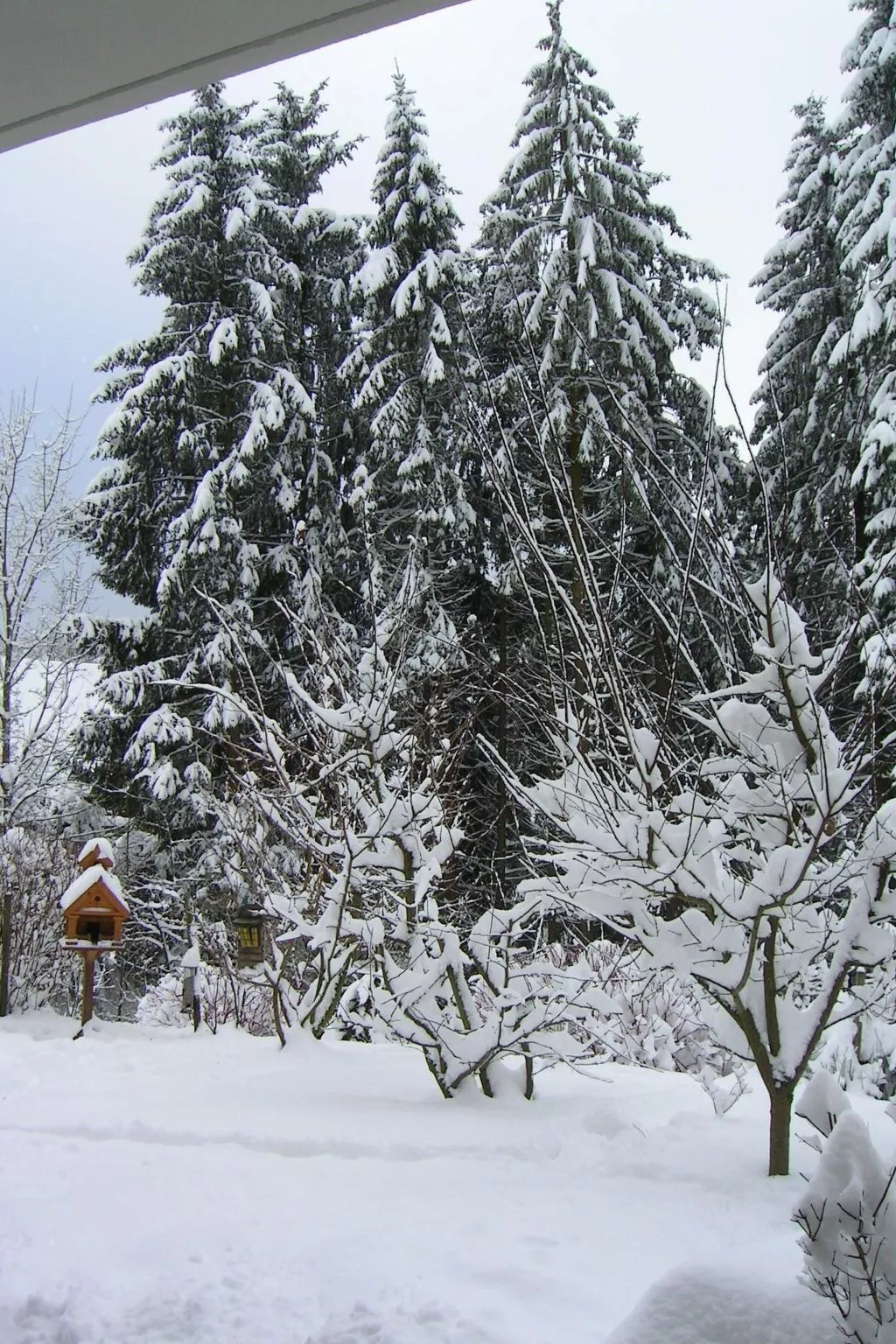Harz-Haus-Bruns-Draußen