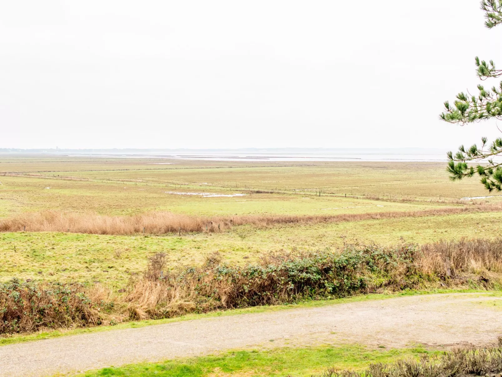 Heefwai 2 Wohnung 4-Draußen