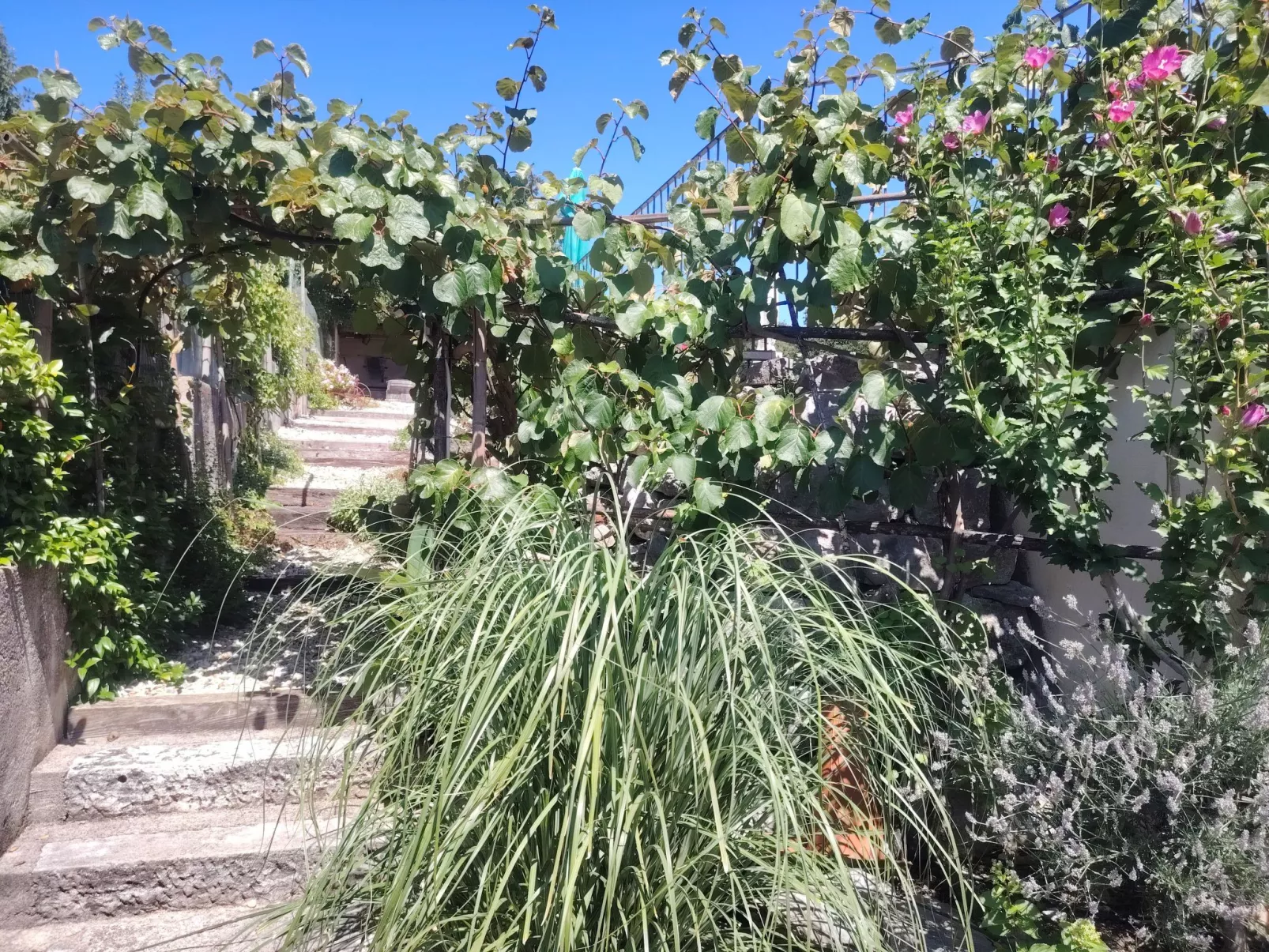 Villa Salvia-Outside