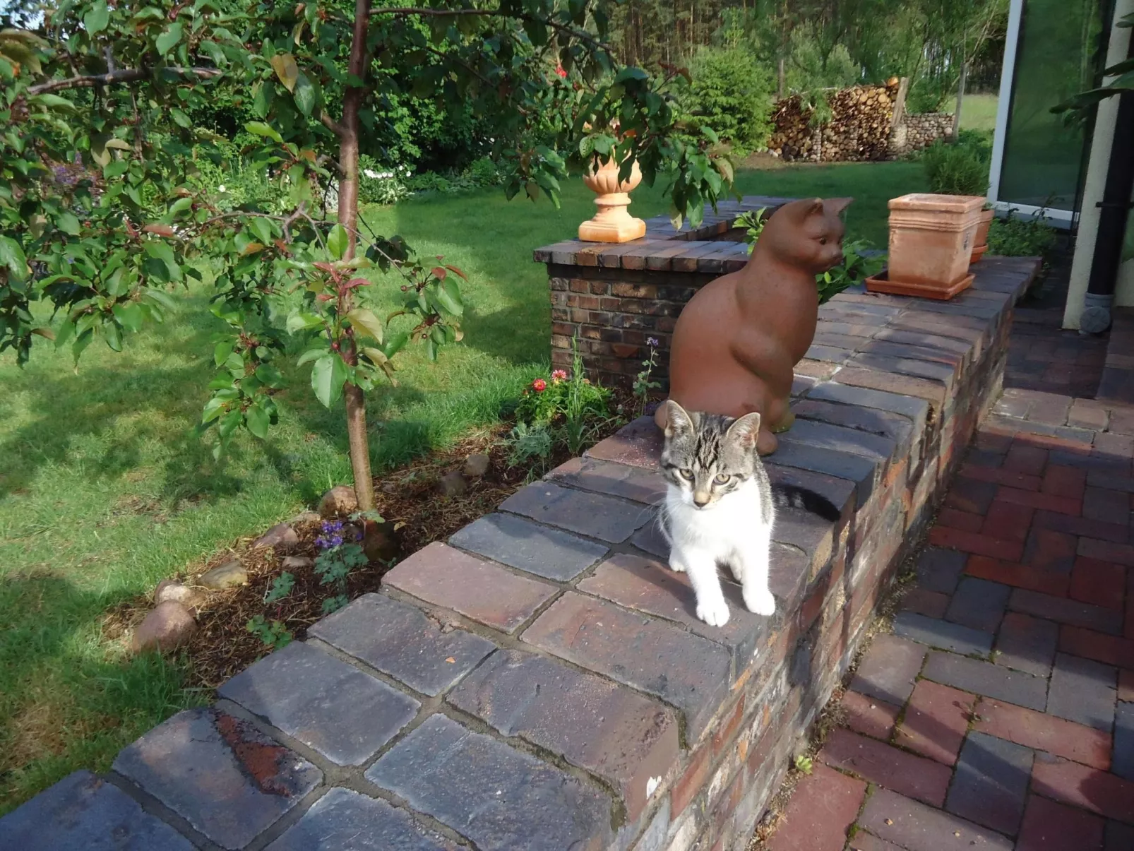 In ruhiger Lage am Waldrand-Outside