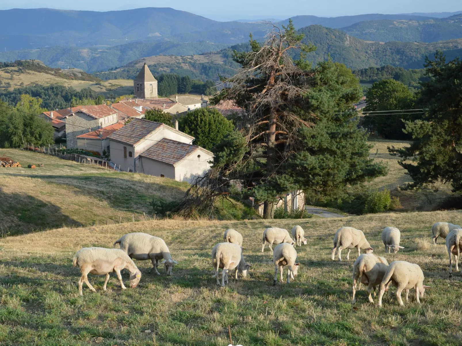 Gîte de Chapelèche Les Genêts-Outside