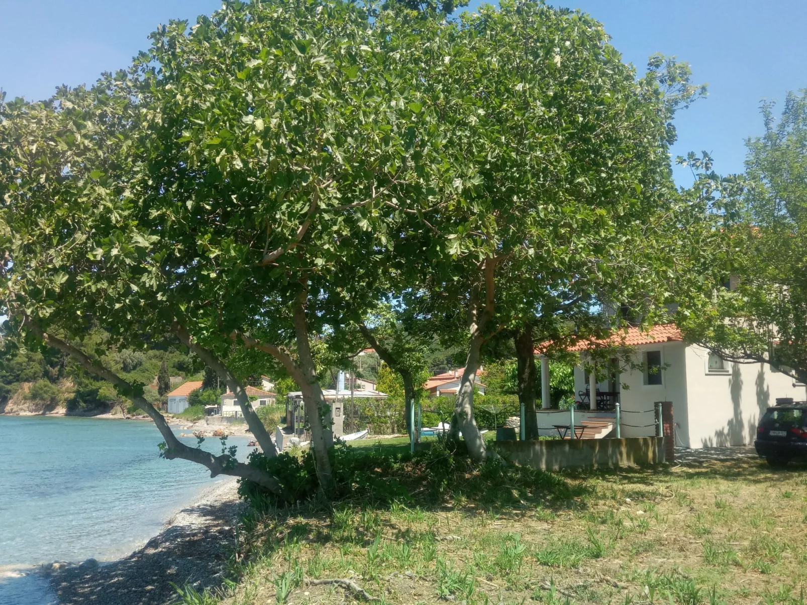 Simos in Paleokastro-Dehors