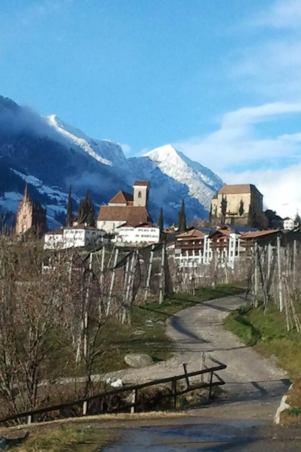 Appartement in Schenna mit Botanischem Garten-Dehors
