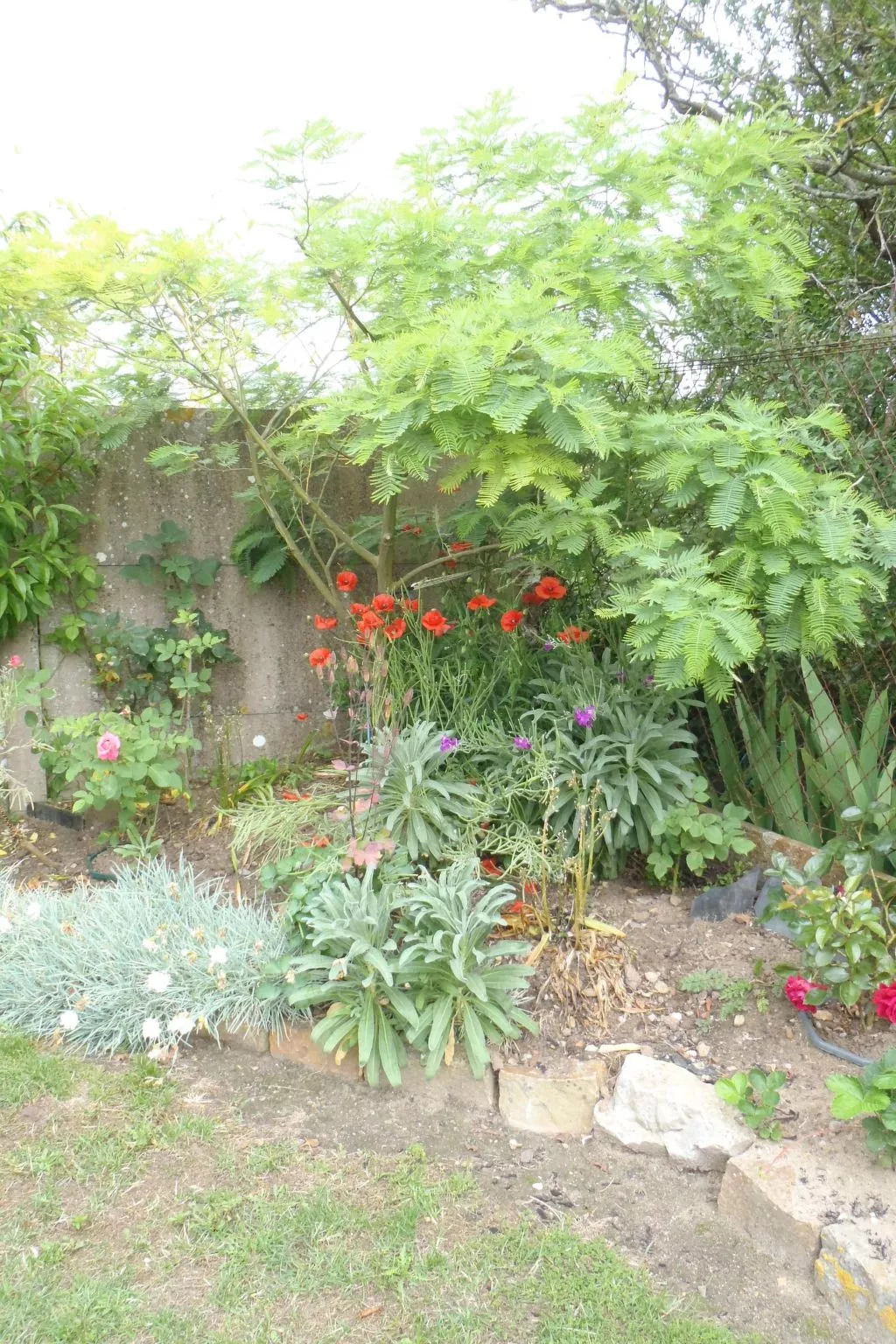 Haus Havre in Portbail-Outside