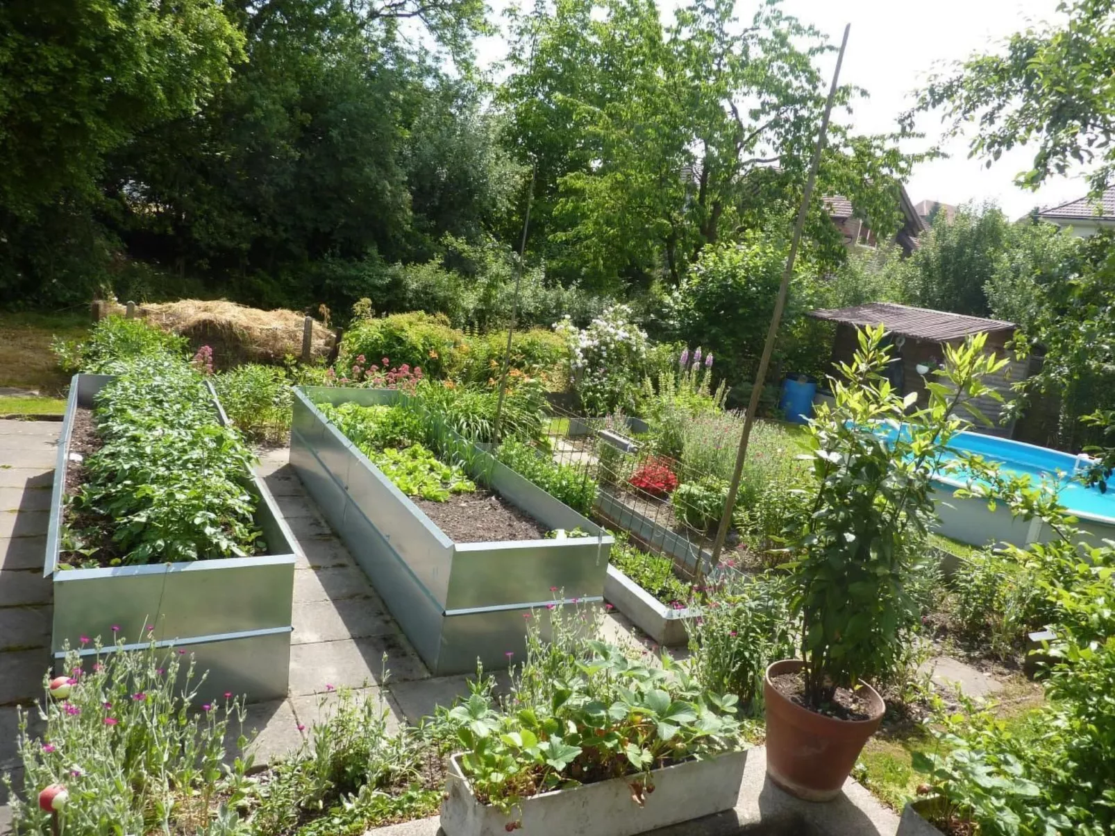 In Hasle-Rüegsau-Dehors