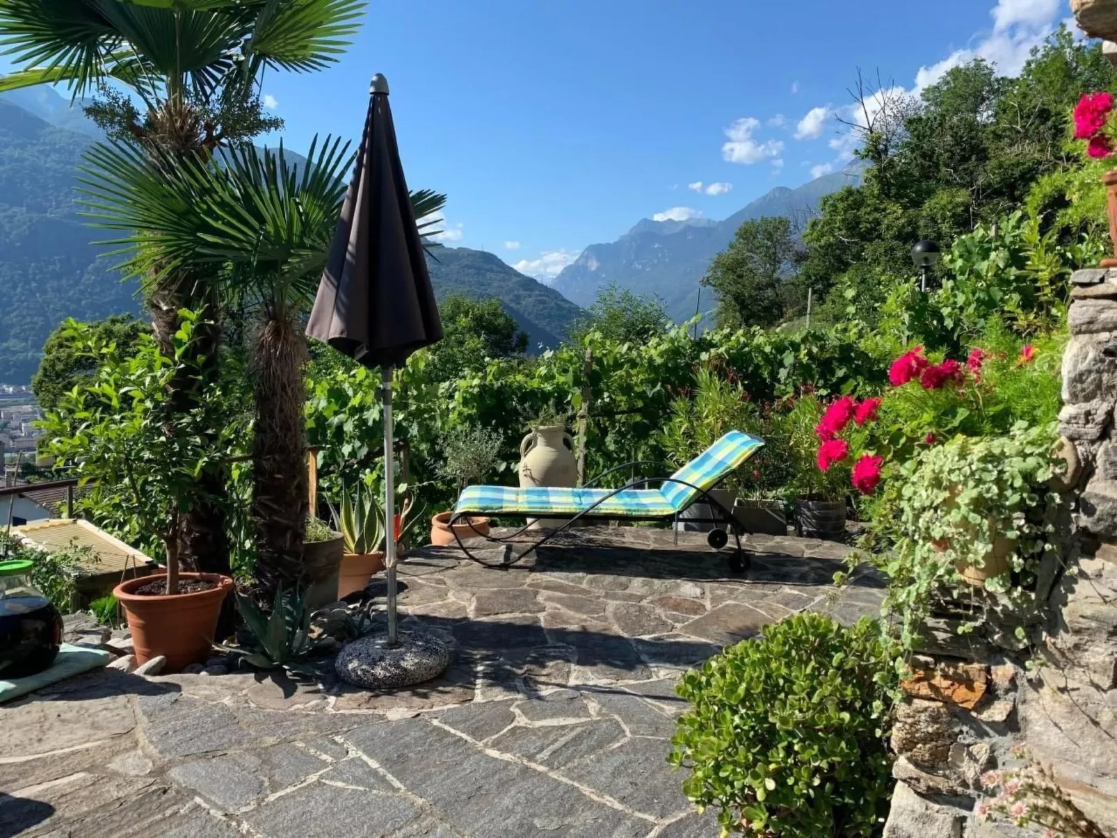 Rustico Motto della Capra-Image-tags.info