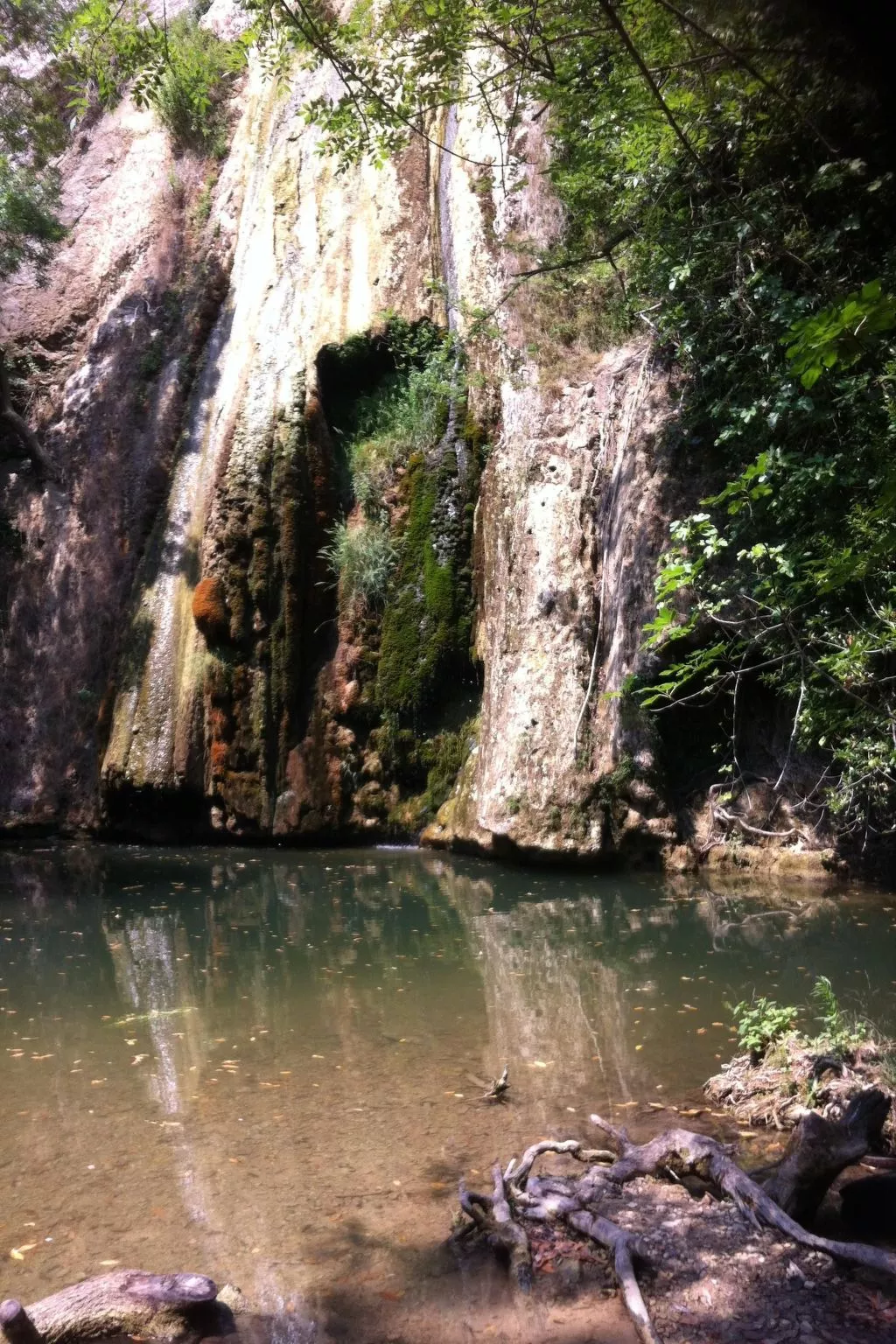 Le mas de l'Aven Unterkunft le mûrier-Draußen
