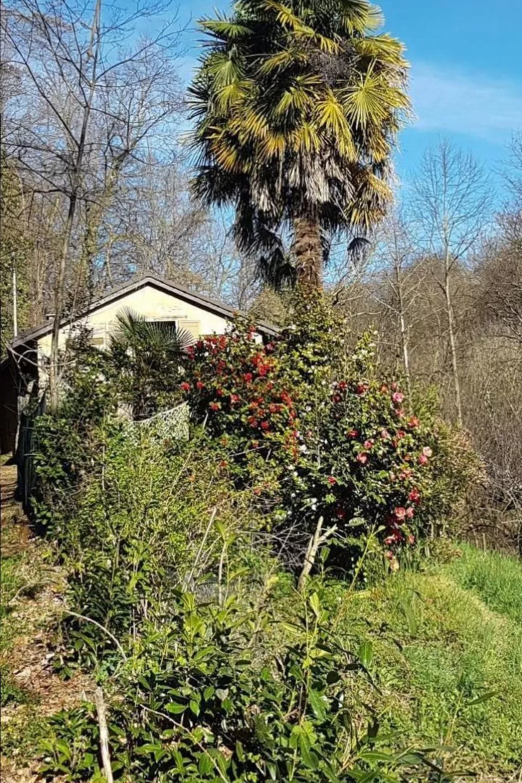 Casa Geissenstall-Dehors