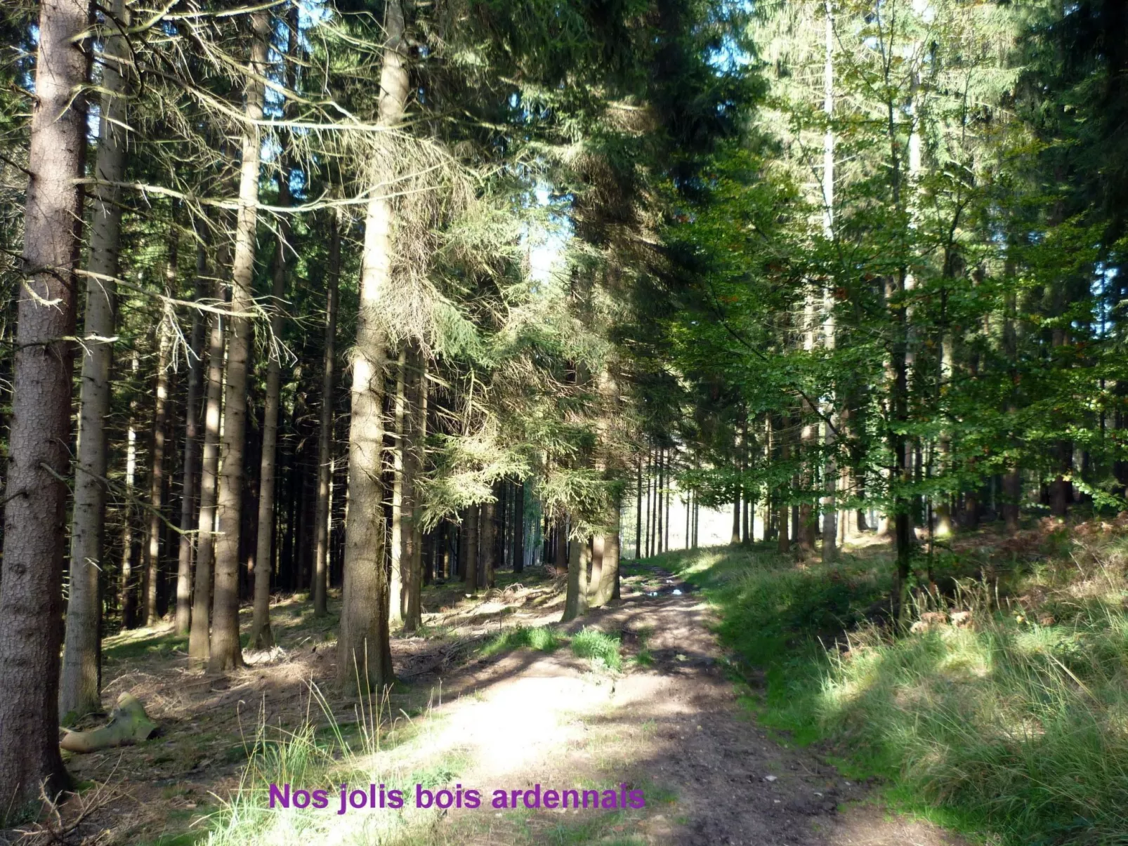 Ardennen Ferienhaus 5 Zimmer 5 Bad 14 Pers Zugang Chaisards-Draußen