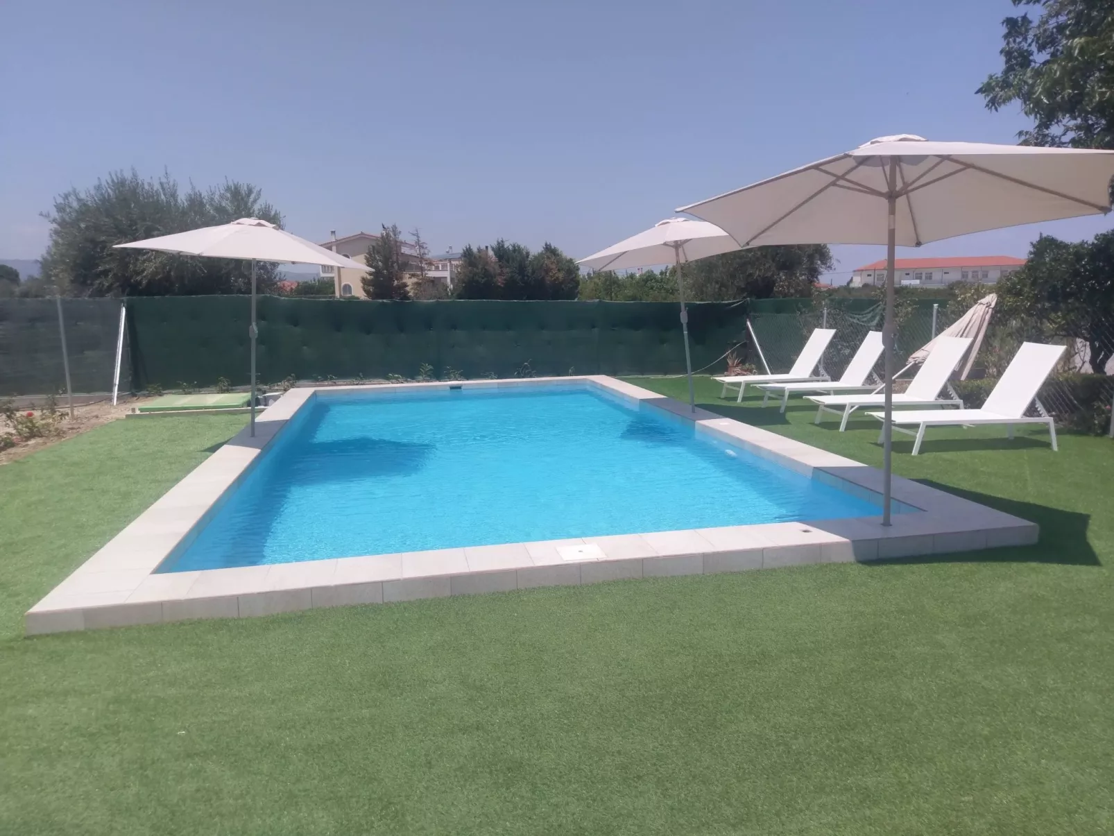 Neben Orangenbaum-Obstgarten-Outside