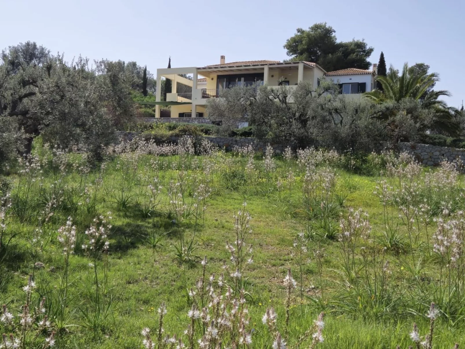 Villa Newlands, Porto Cheli - Meer und Berge.-Draußen