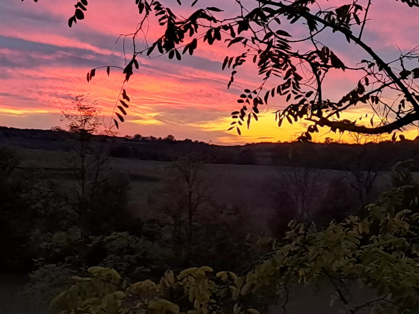 Der Pavillon - im Park des Schlosses Lescaut-Draußen