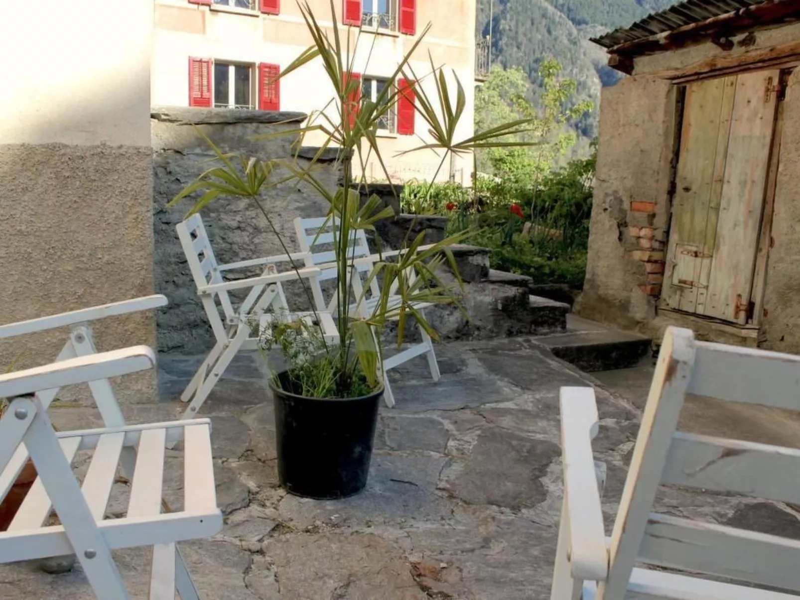 Cò d'Franz-Image-tags.info