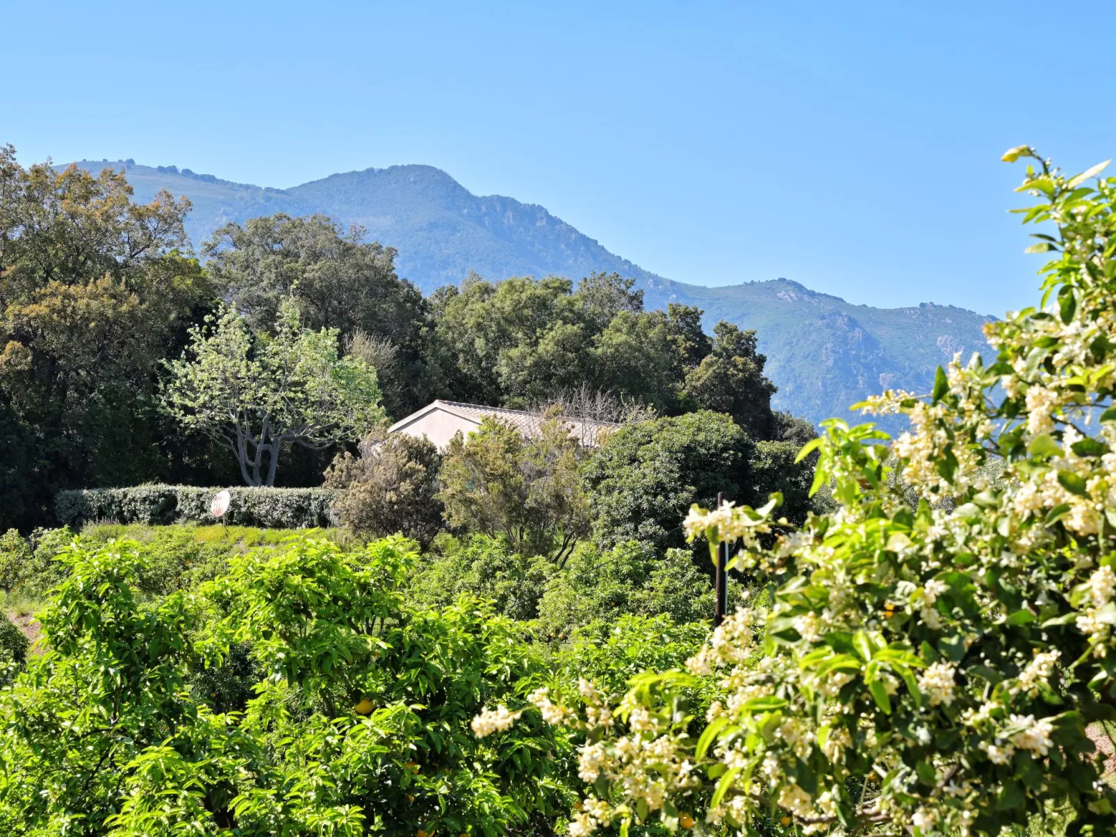 Weingut Punta della Guardia Ruhig und beschaulich-Outside