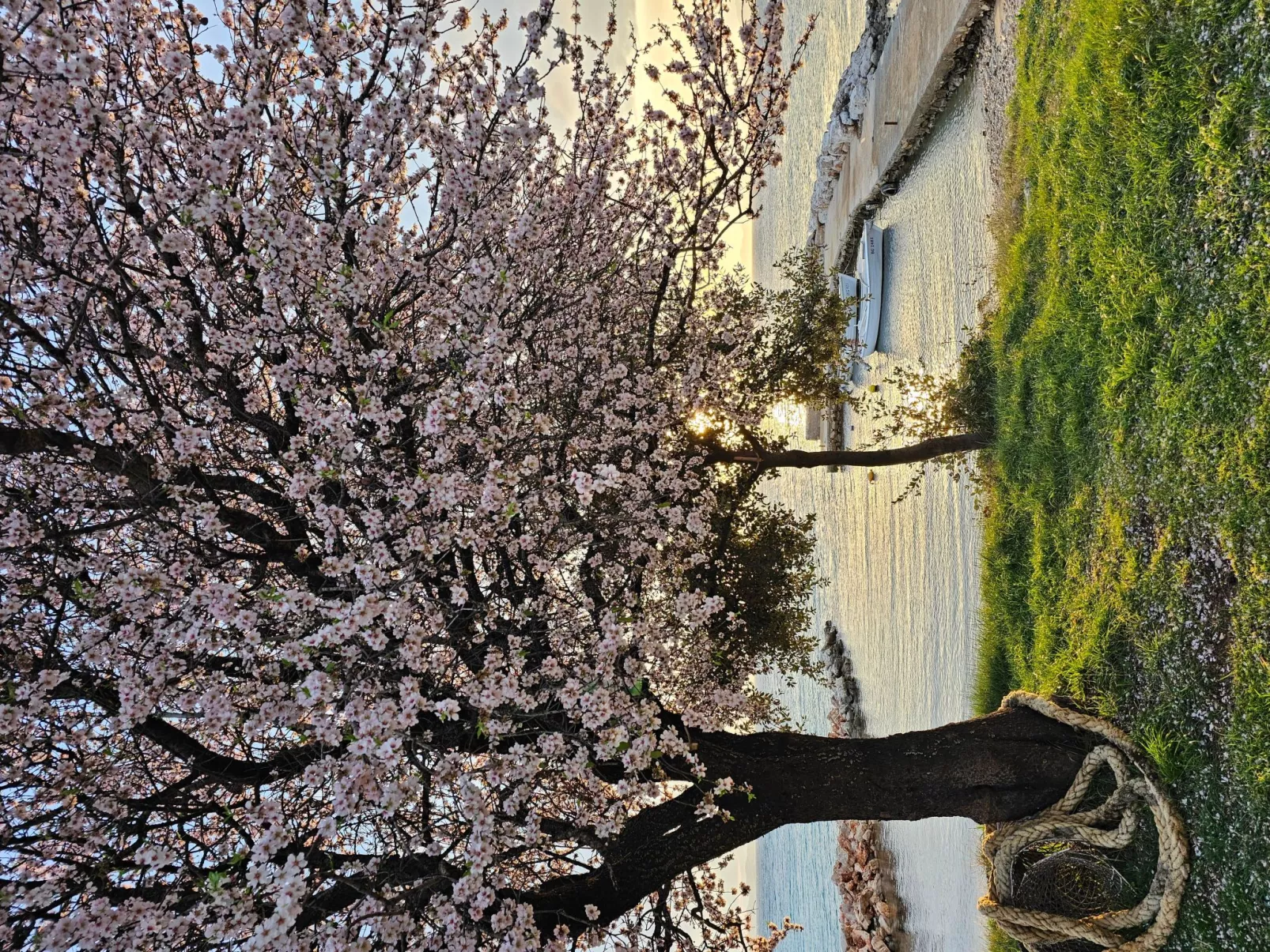 Mimos Robinsonhaus-Draußen