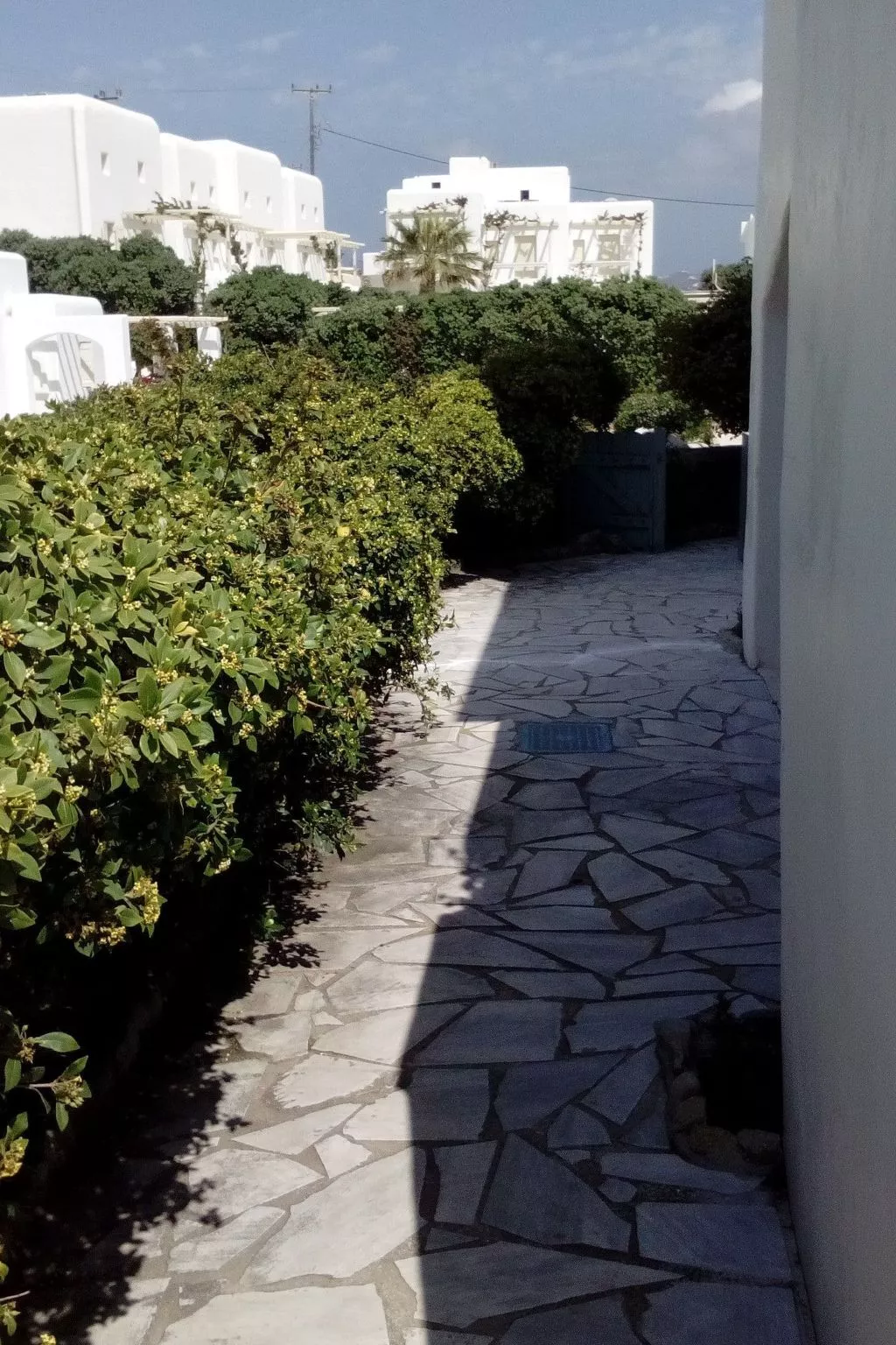 "Mykonian Aroma" mit Pool-Dehors