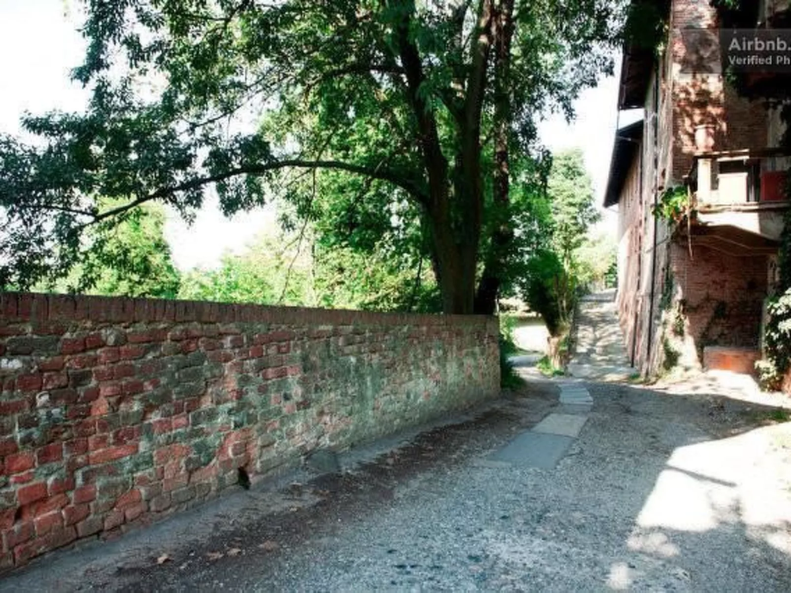 Girasoli-Image-tags.info