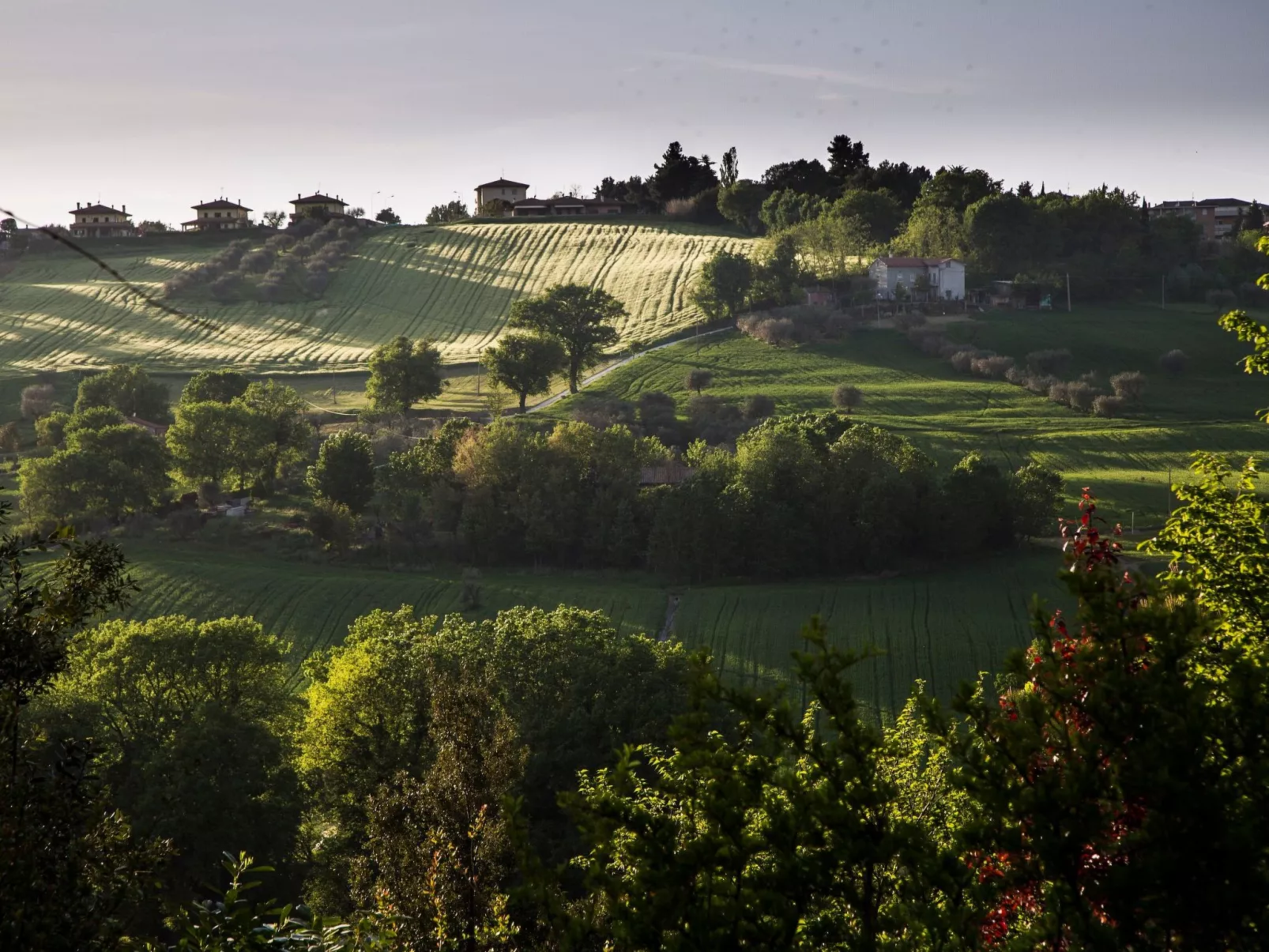 Haus in Ostra mit privatem Pool-Outside