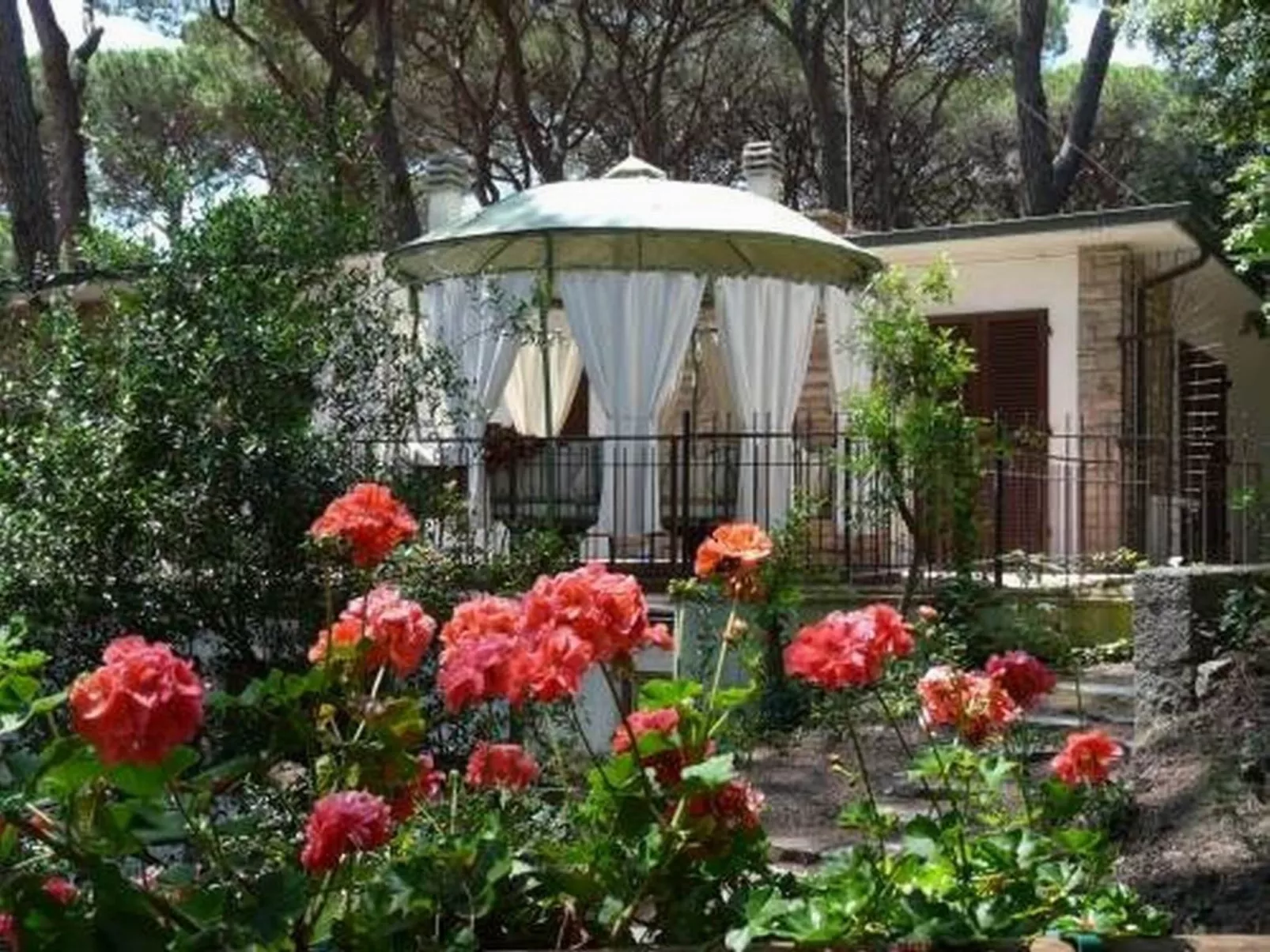 'Azalea' mit Terrasse-Outside